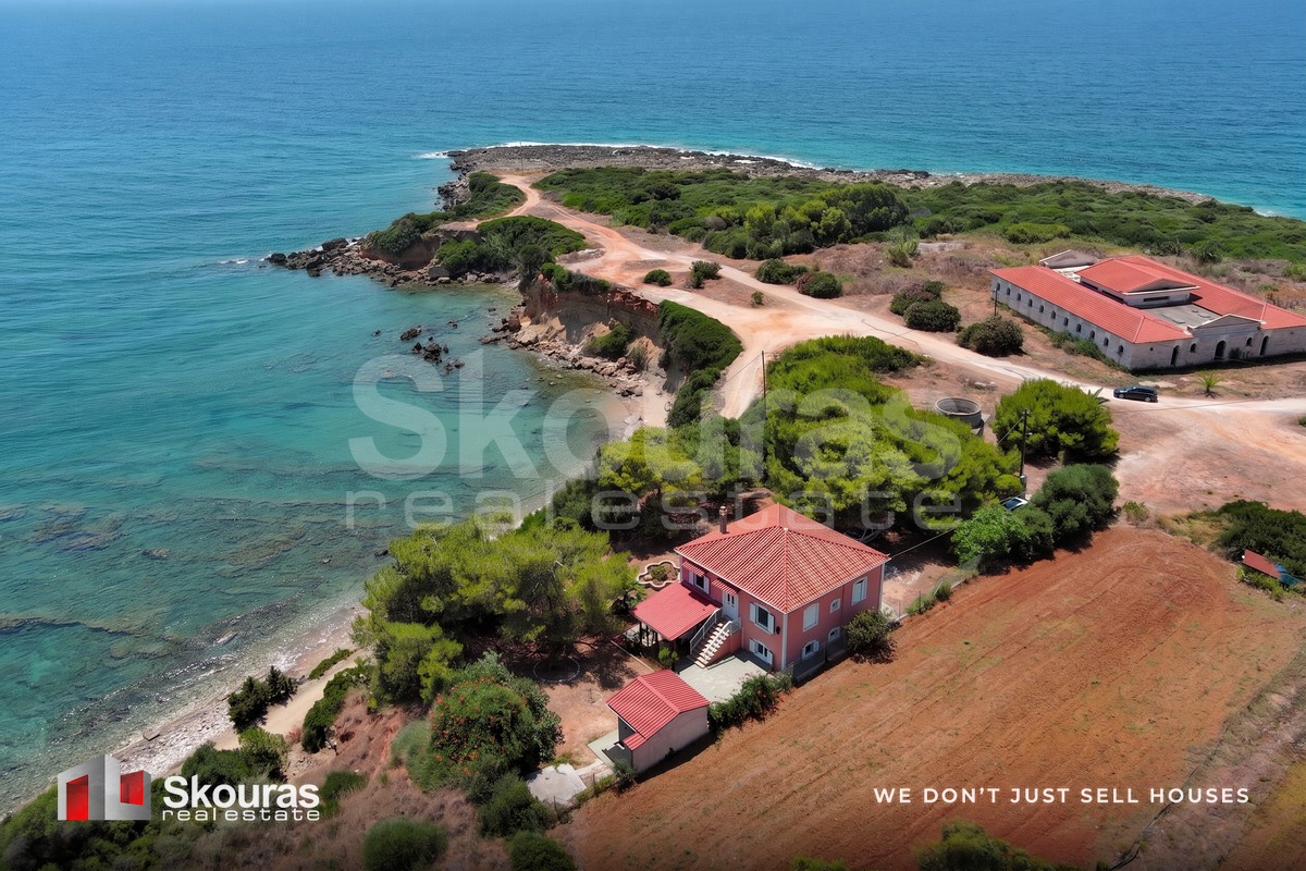 Gallery image 13