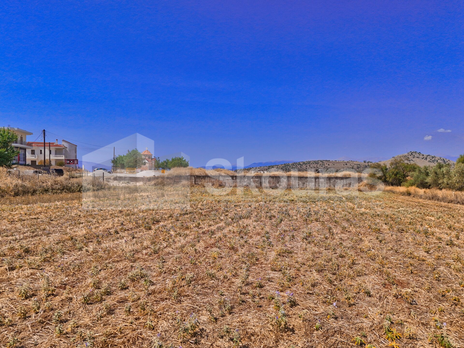 Gallery image 12
