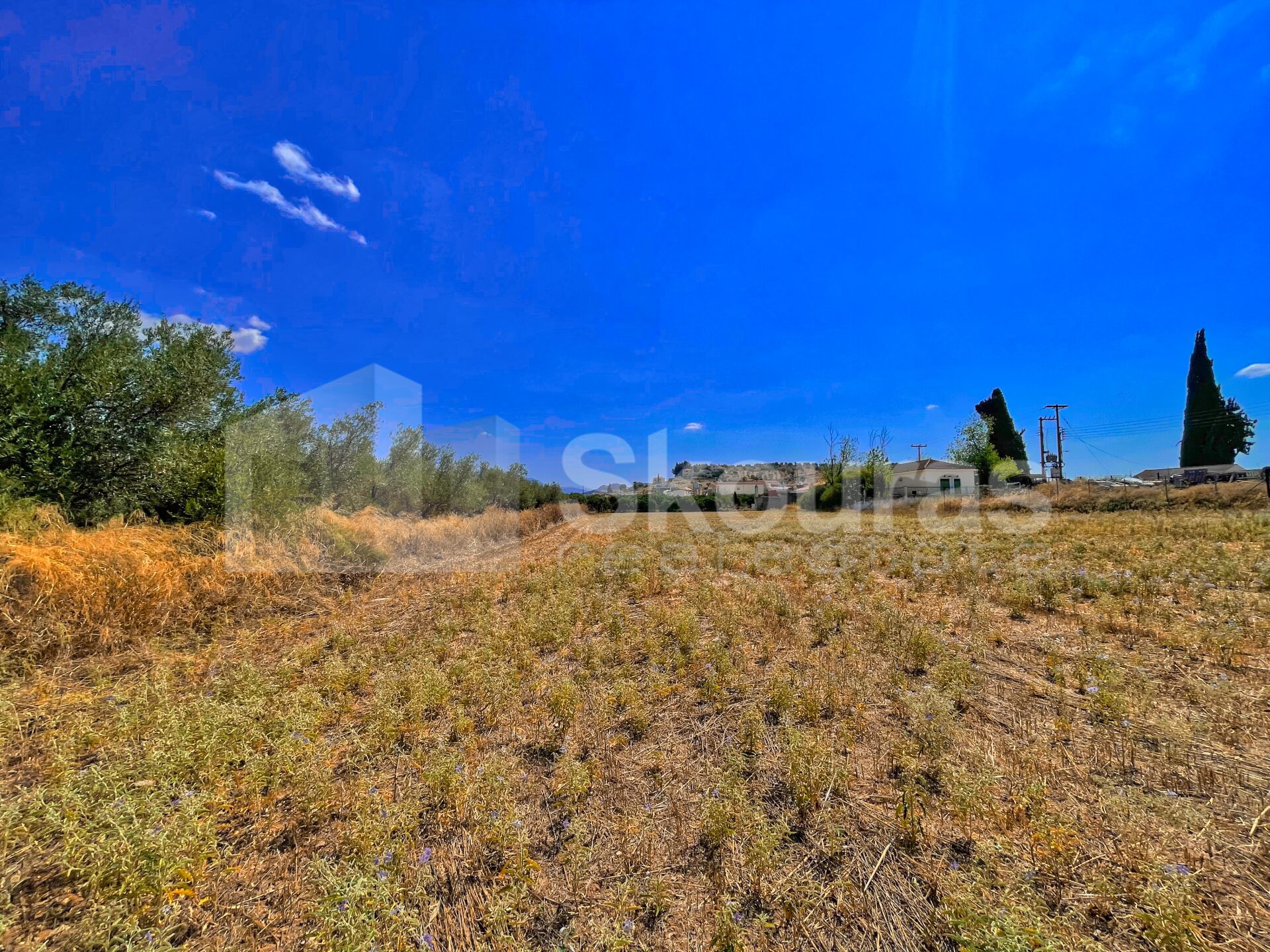Gallery image 20