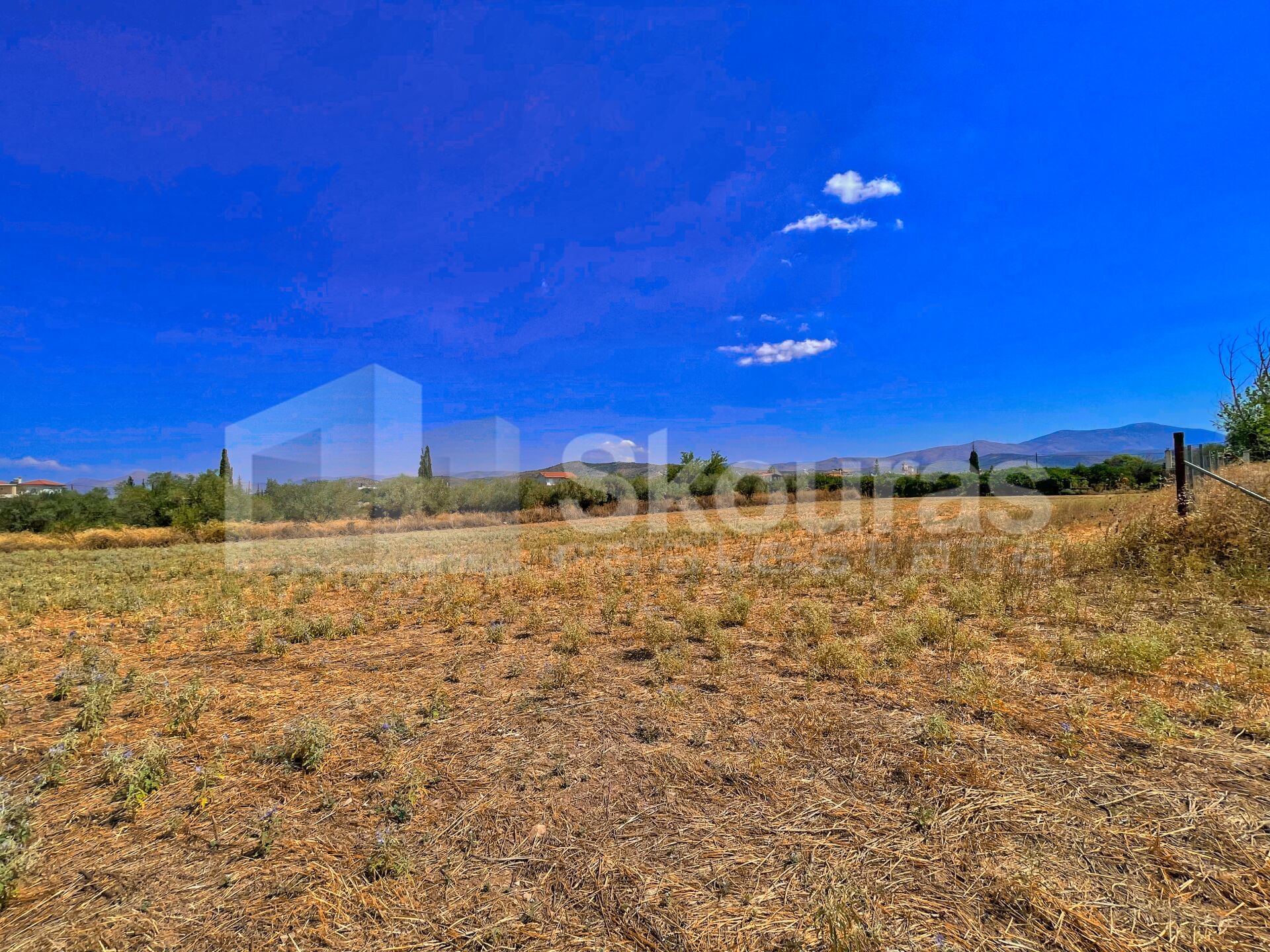 Gallery image 17