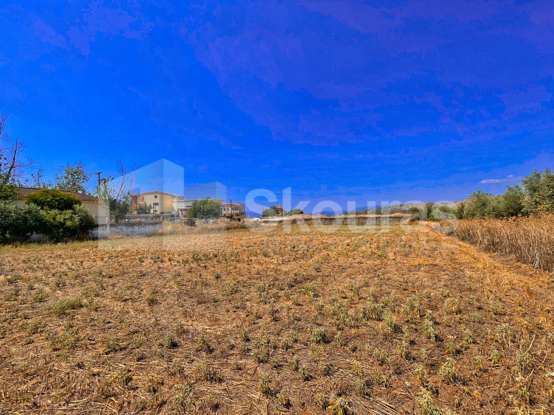 Gallery image 7
