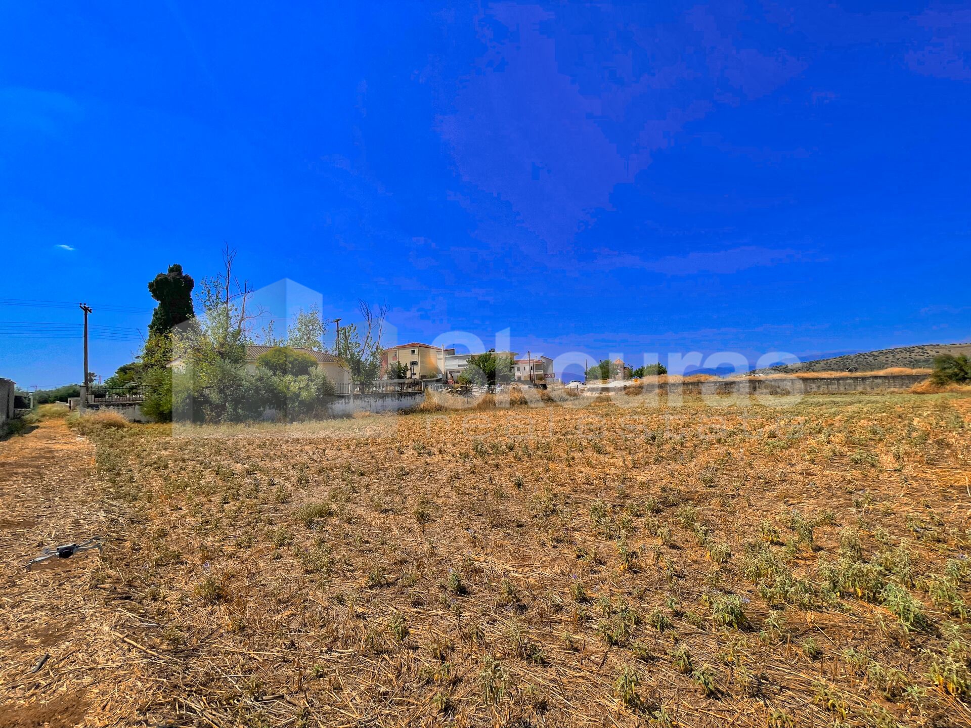 Gallery image 6