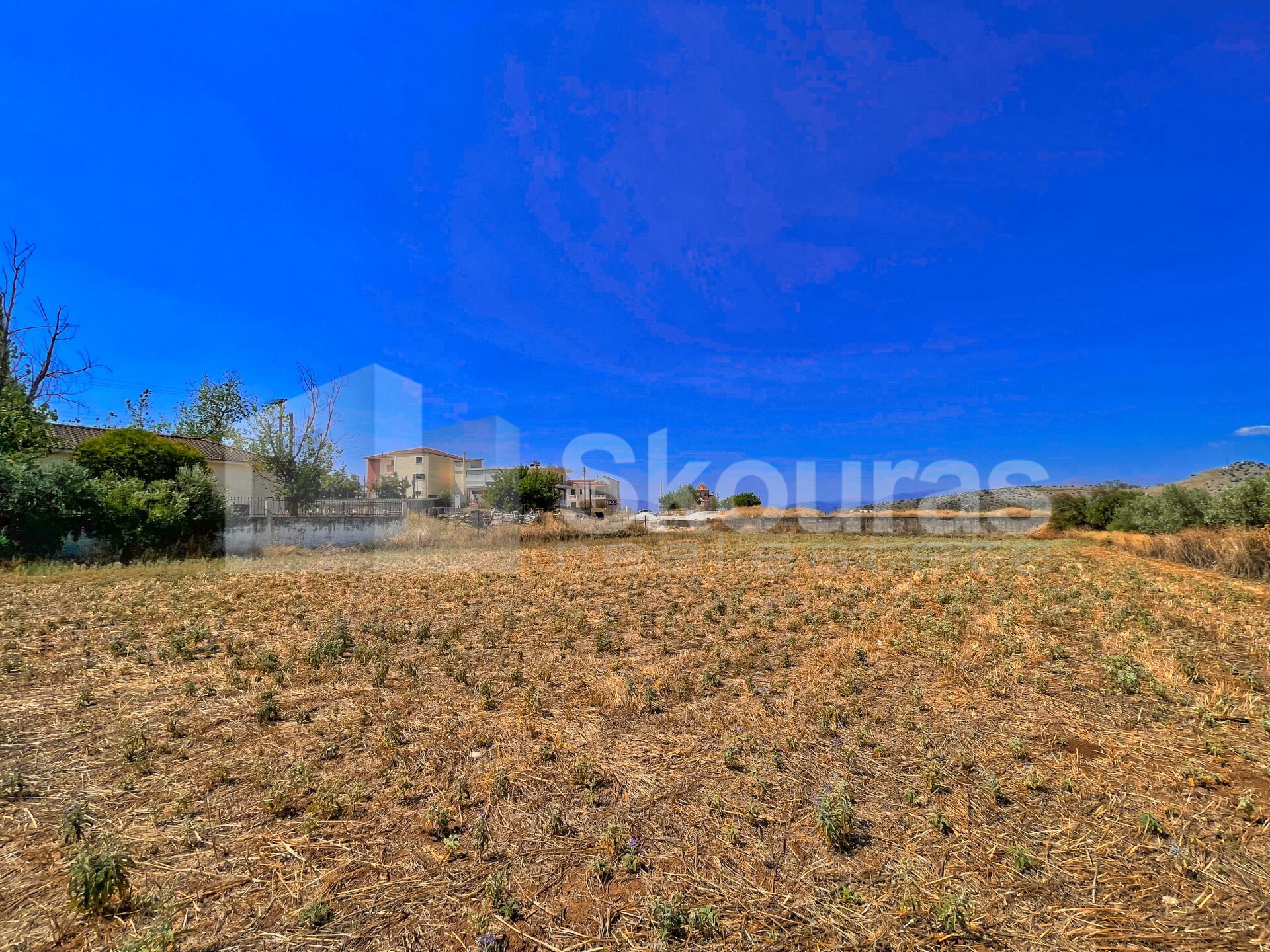 Gallery image 22