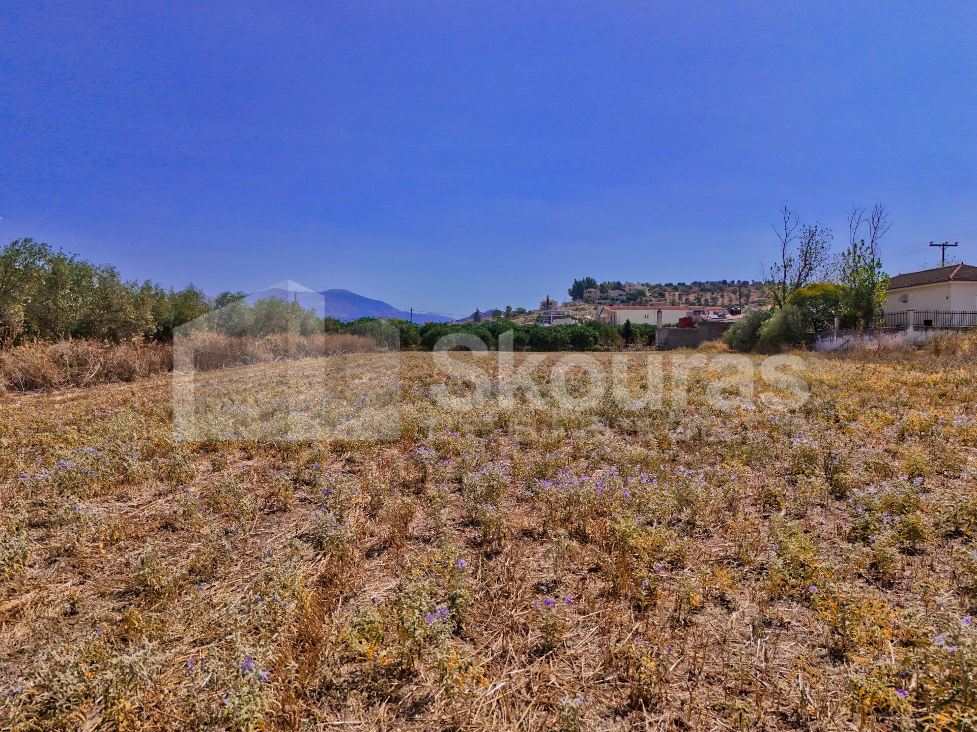 Gallery image 13
