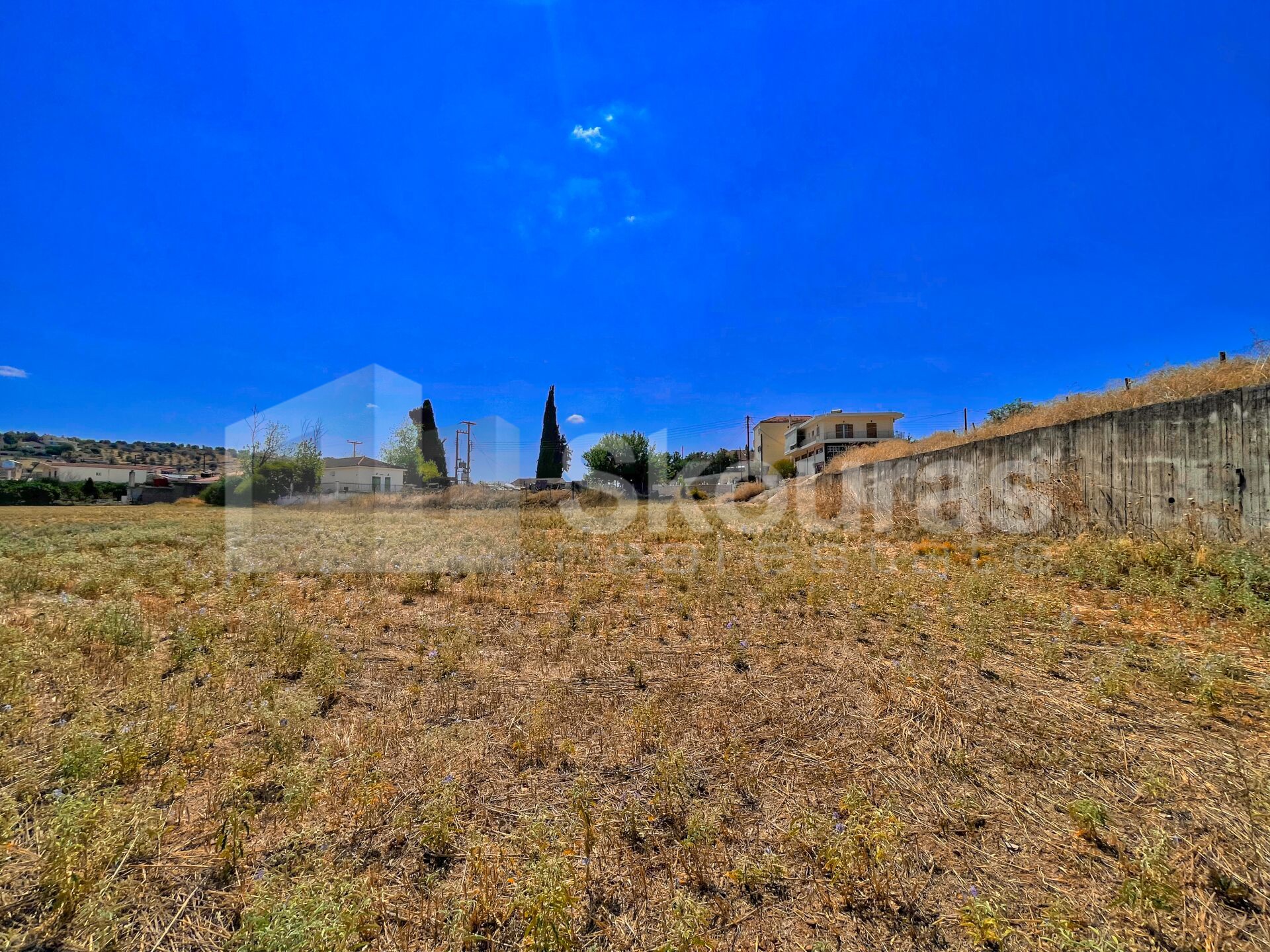 Gallery image 19