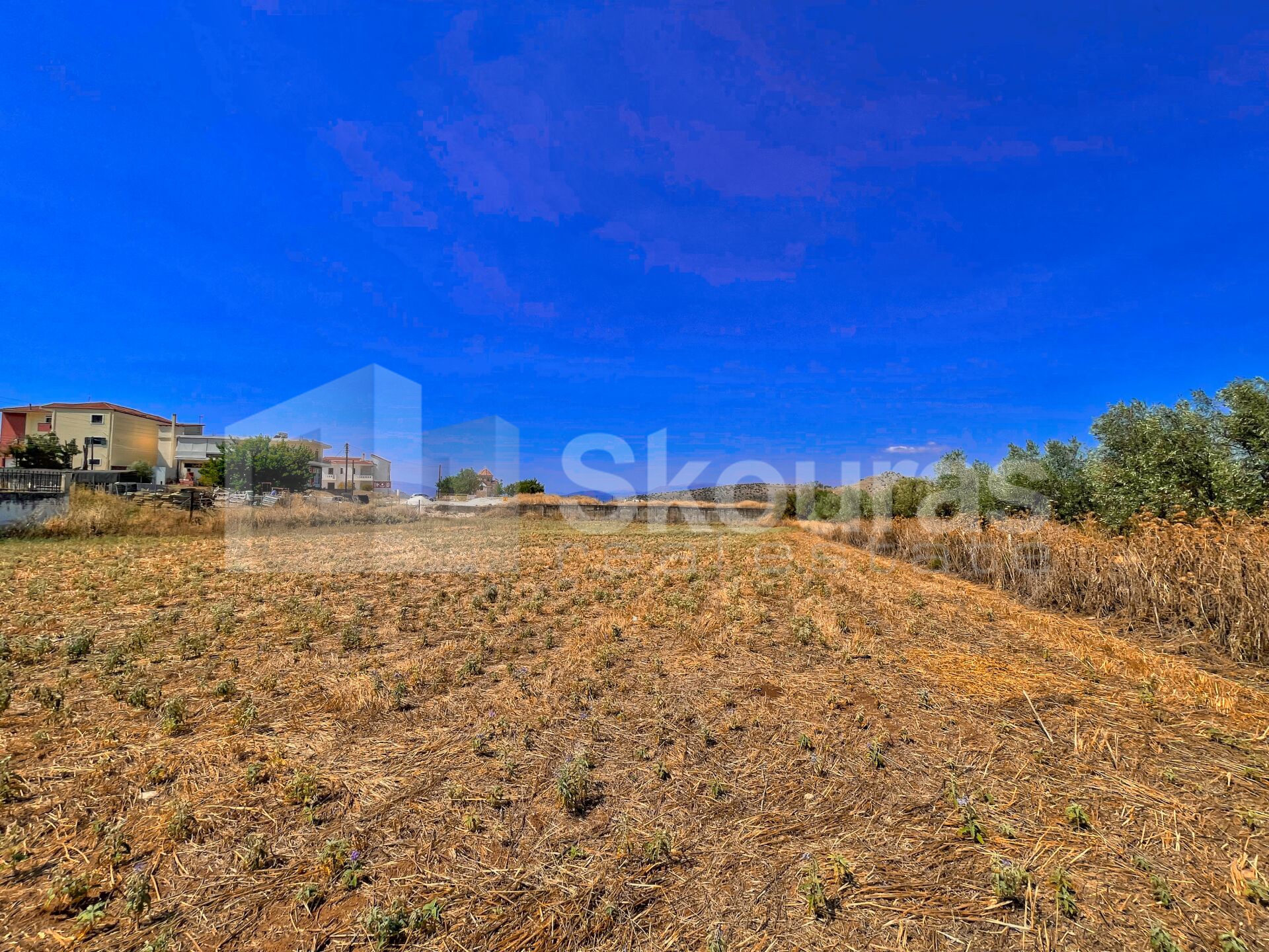 Gallery image 21