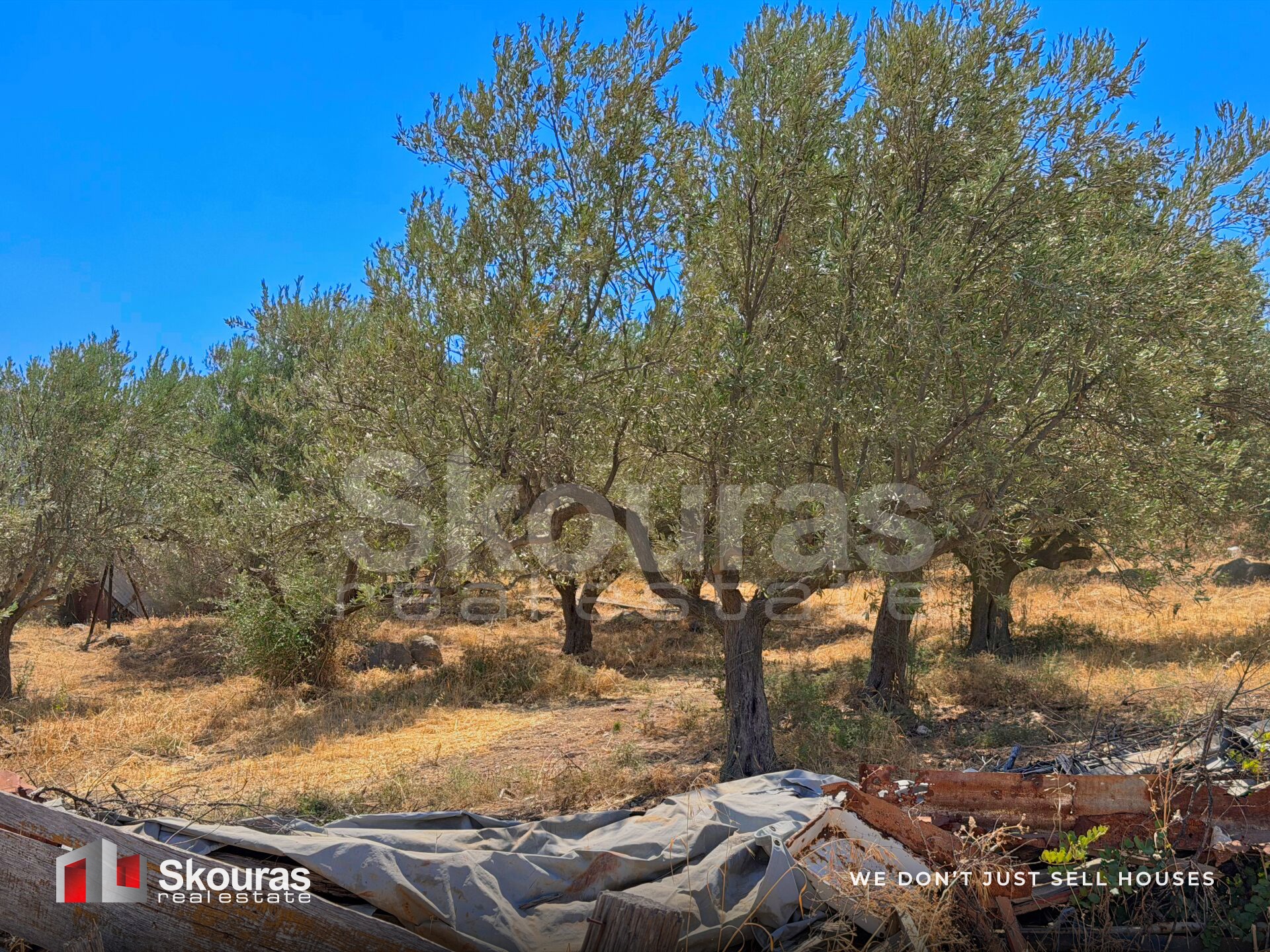 Gallery image 10