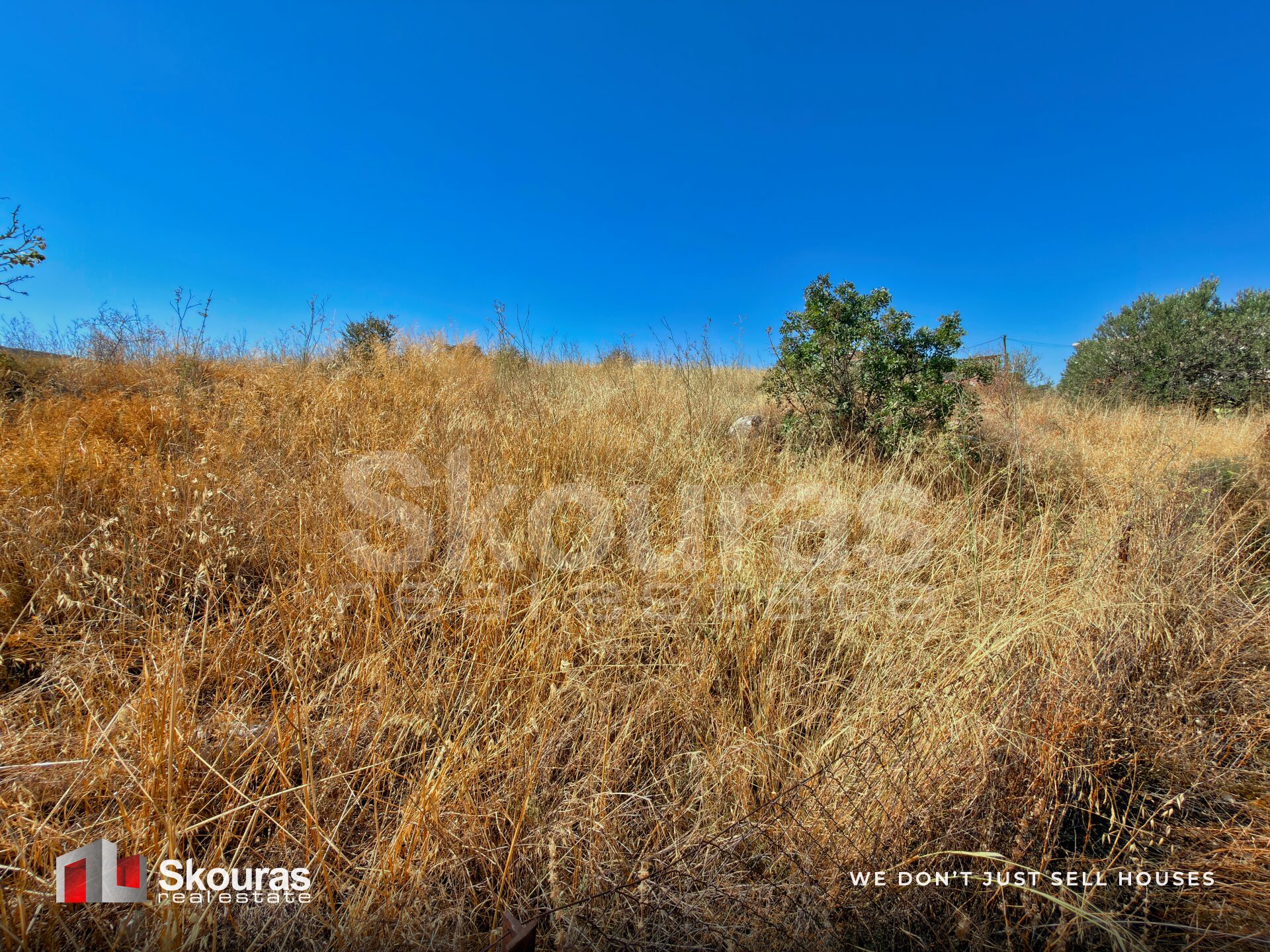 Gallery image 21