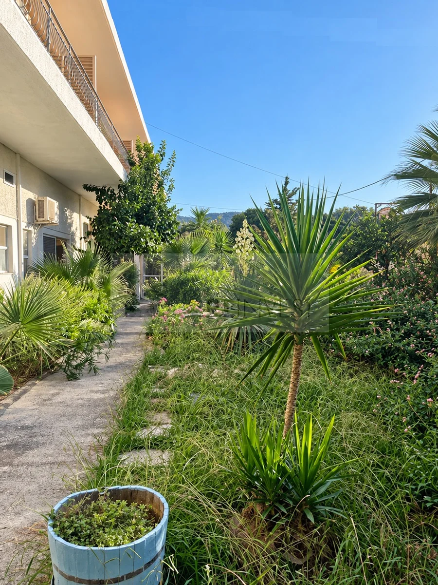 Gallery image 13