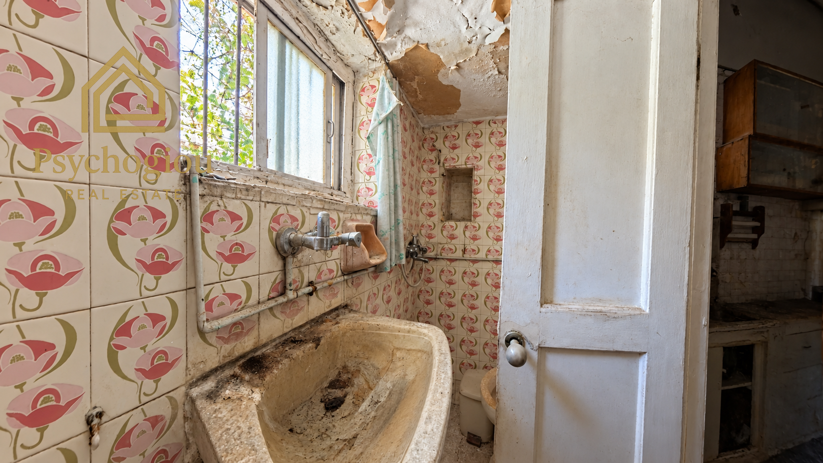 Gallery image 8