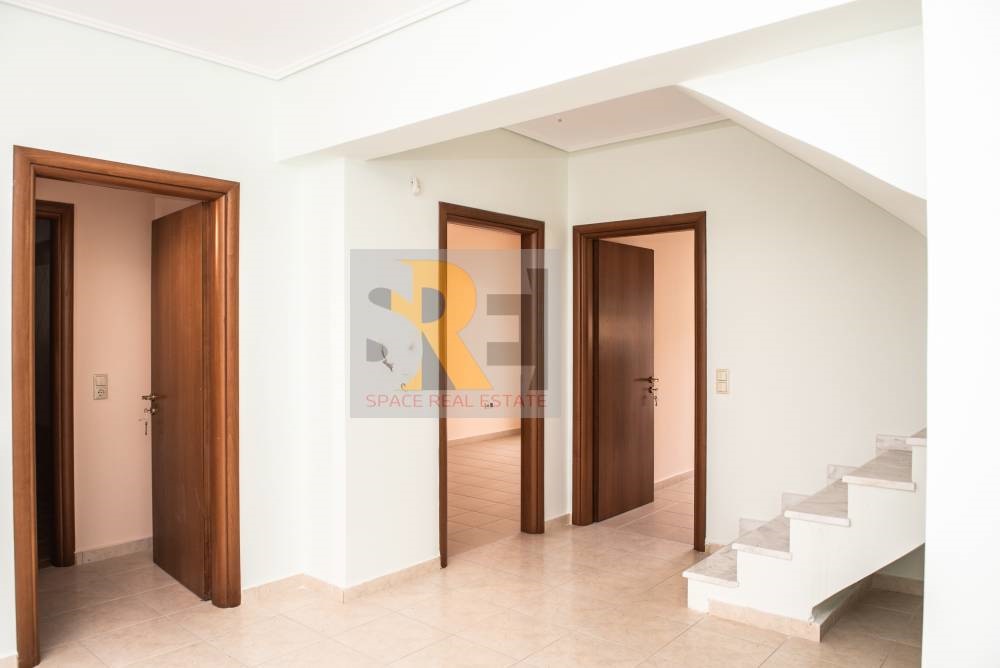 Gallery image 13