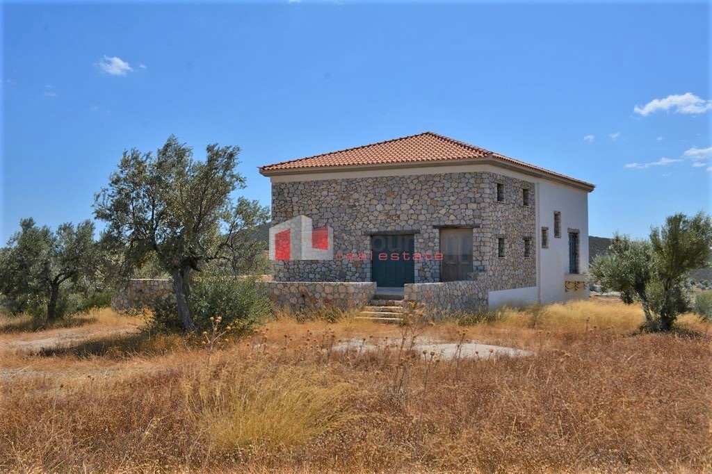 Gallery image 19