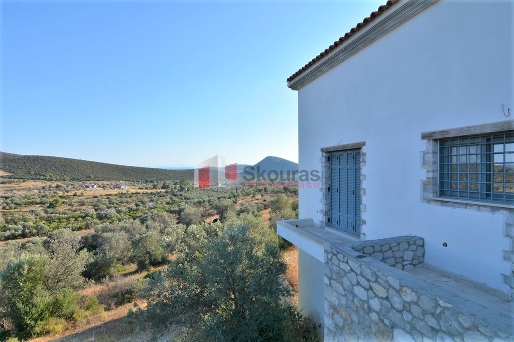 Gallery image 17