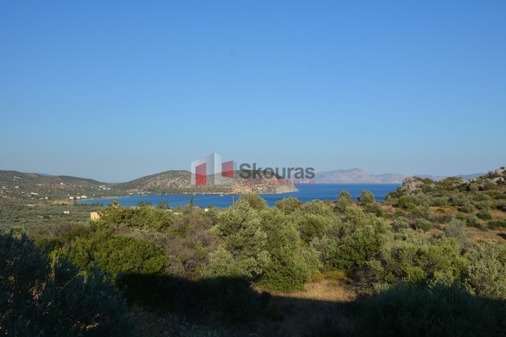 Gallery image 13