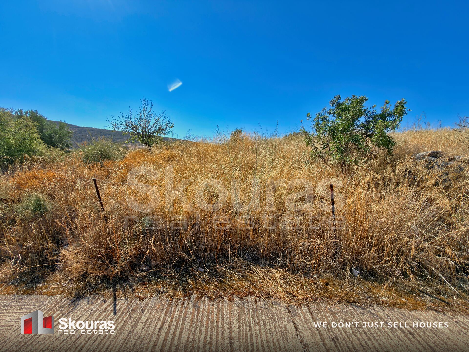 Gallery image 21