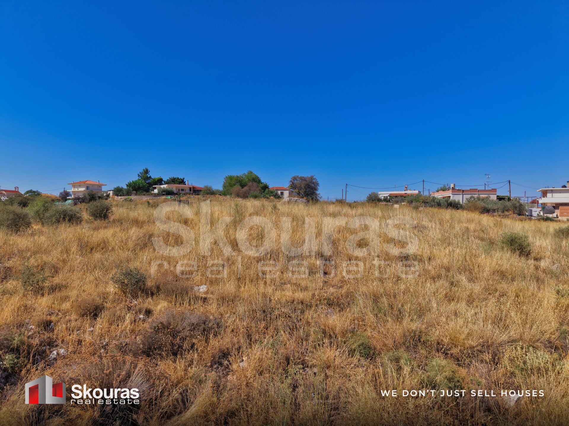 Gallery image 18