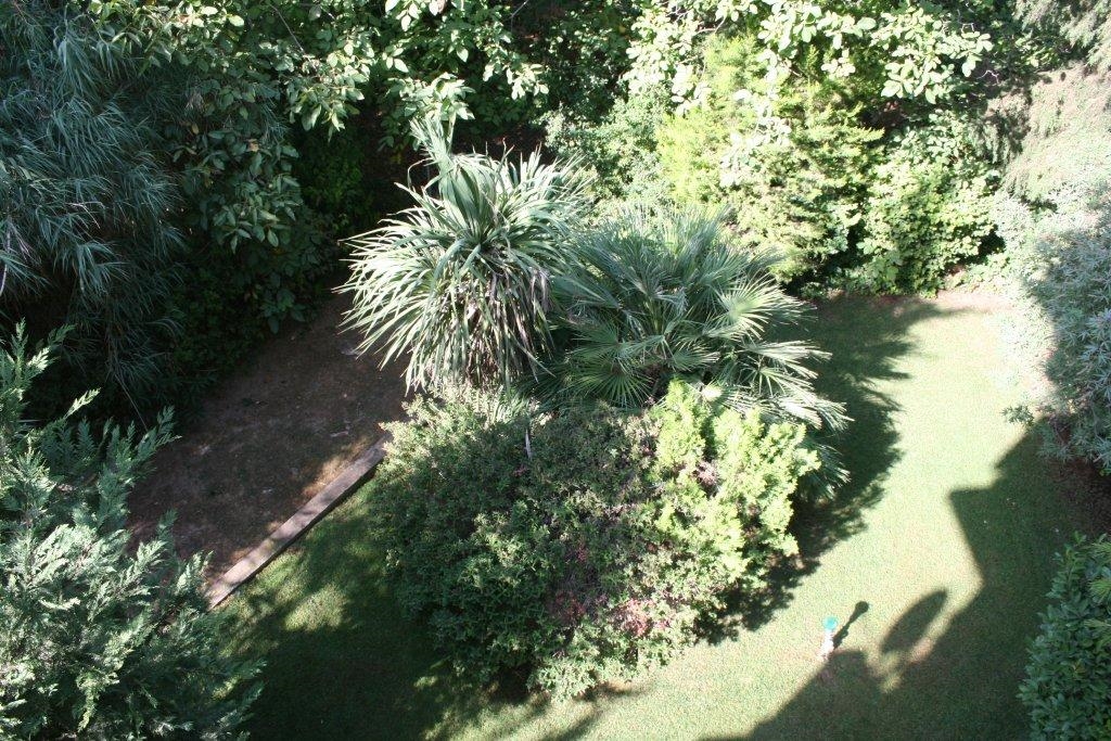 Gallery image 14