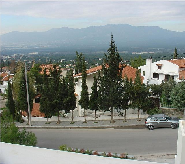 Gallery image 8