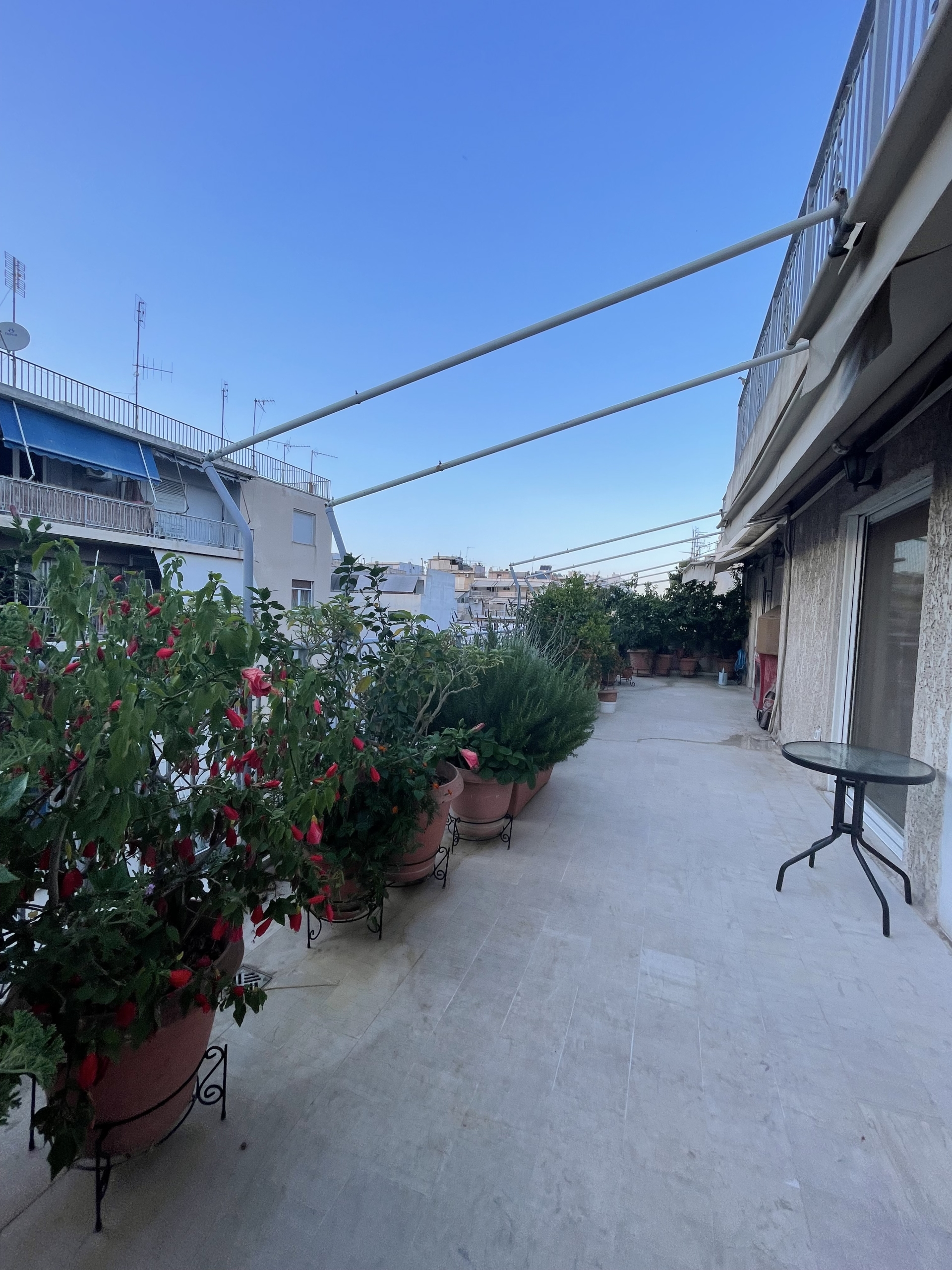 Gallery image 22