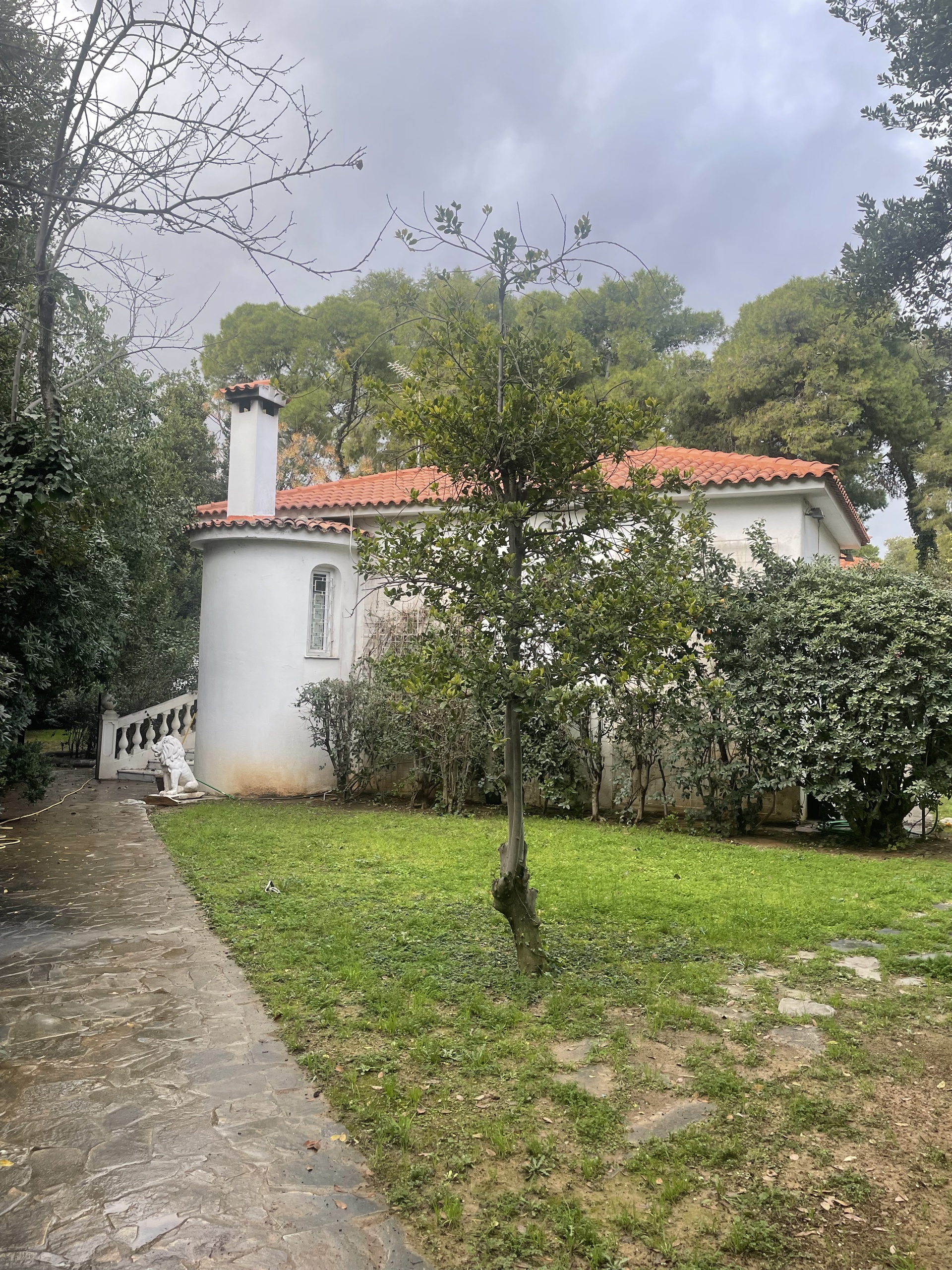 Gallery image 22