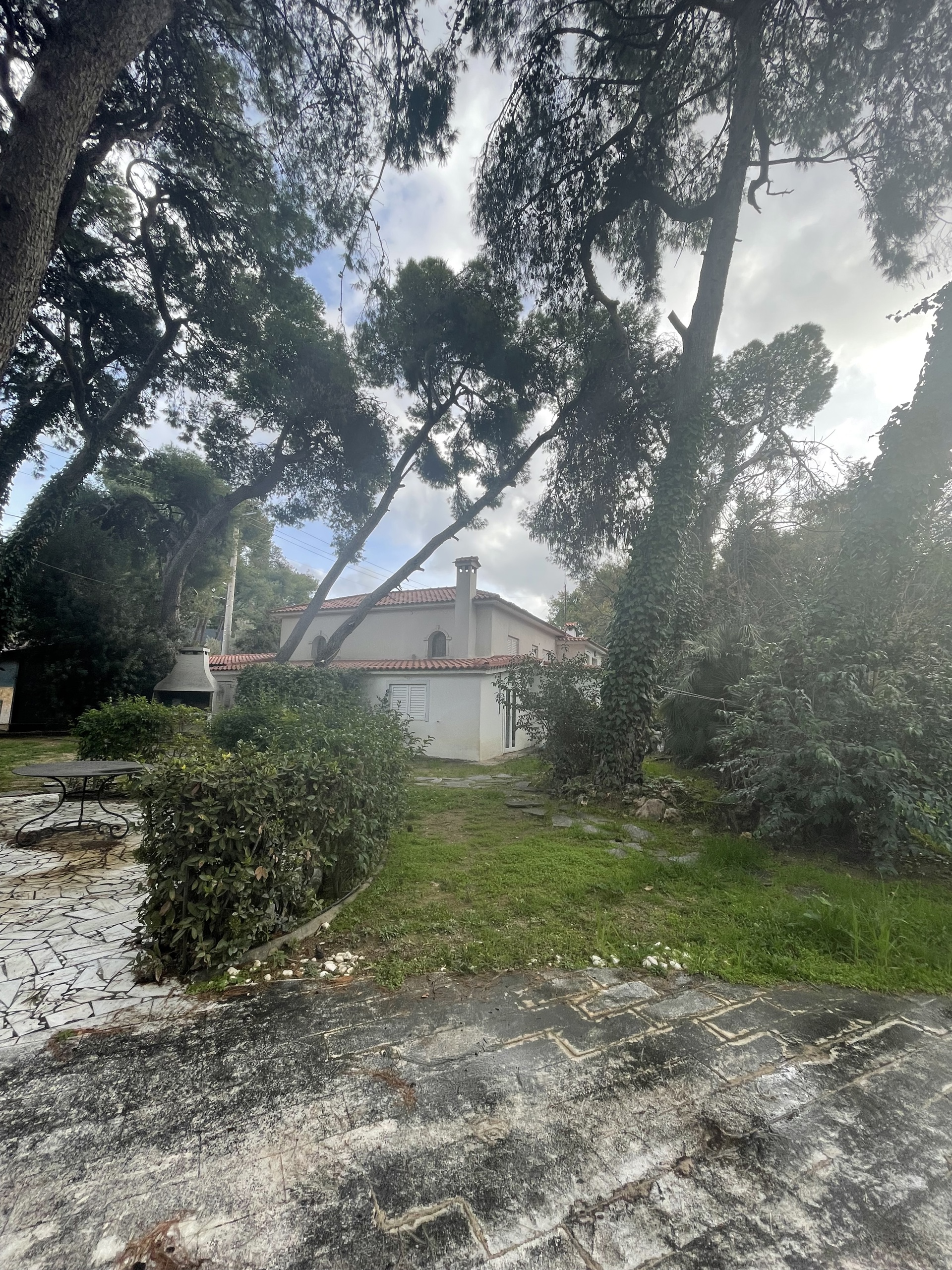 Gallery image 13