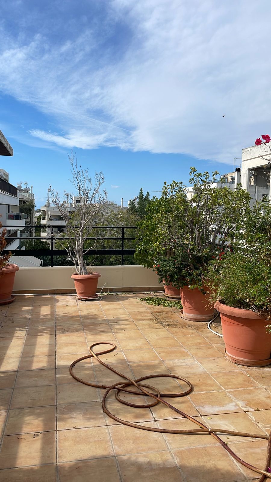 Gallery image 9