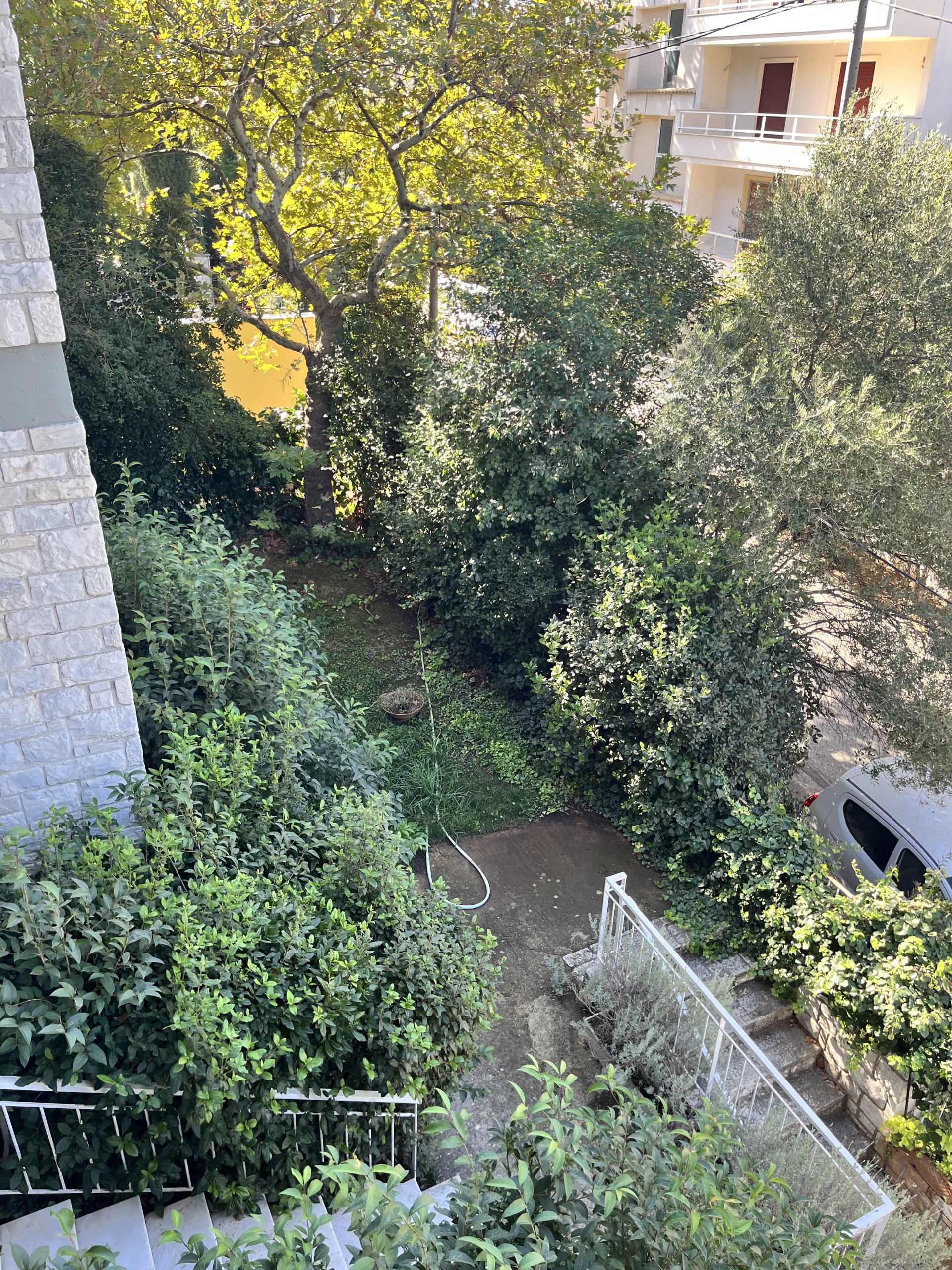 Gallery image 15
