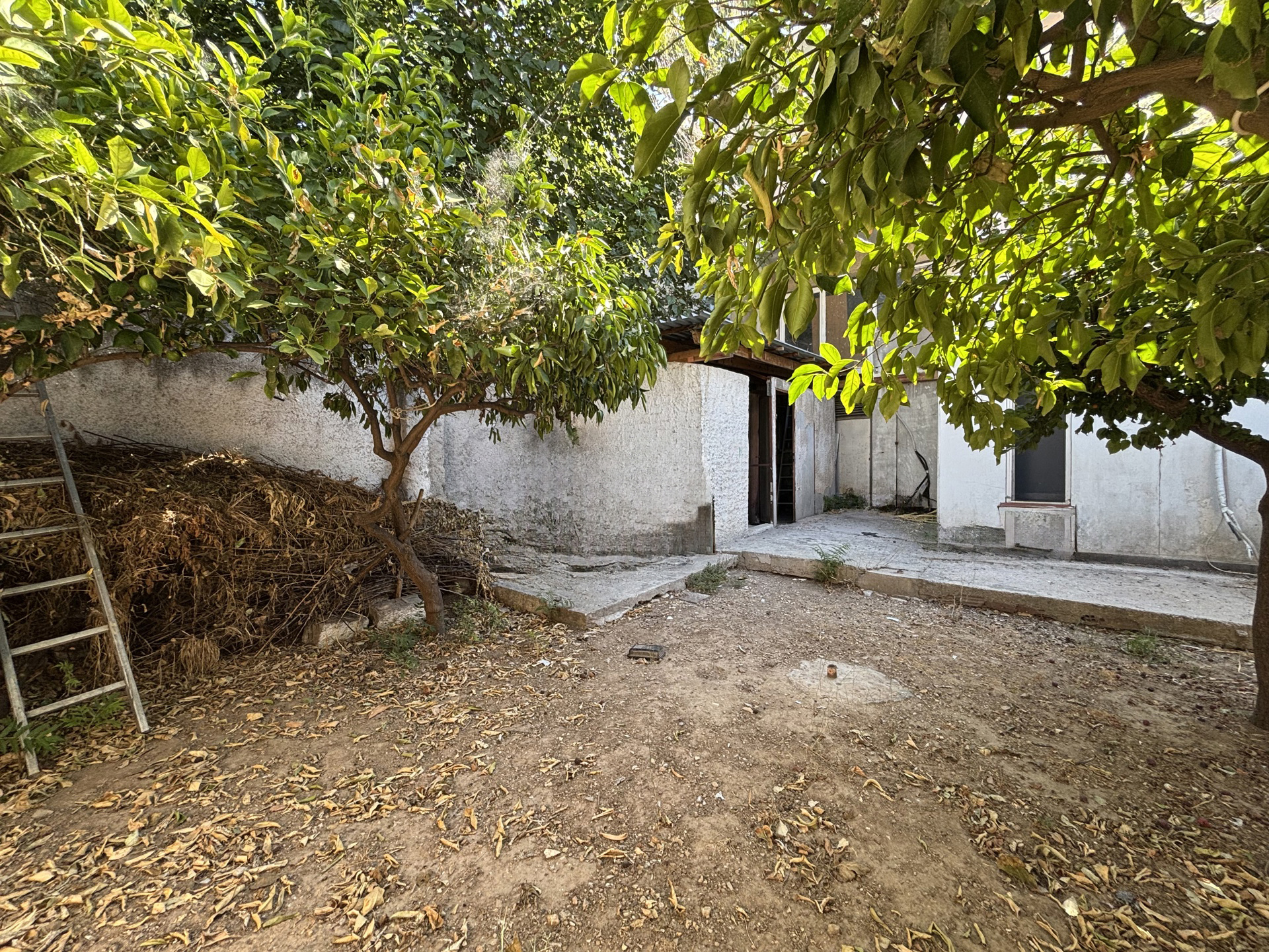 Gallery image 10