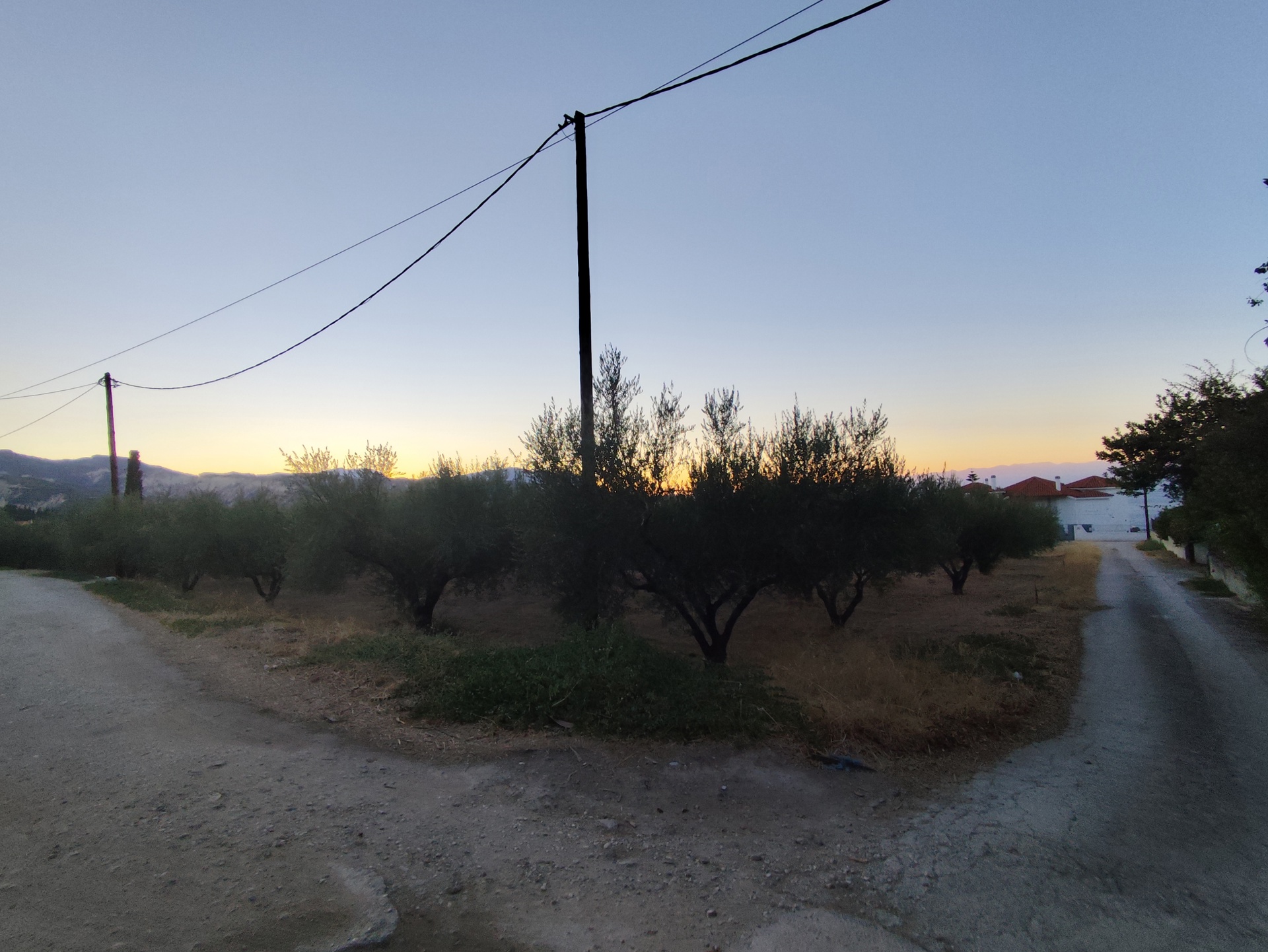 Gallery image 14
