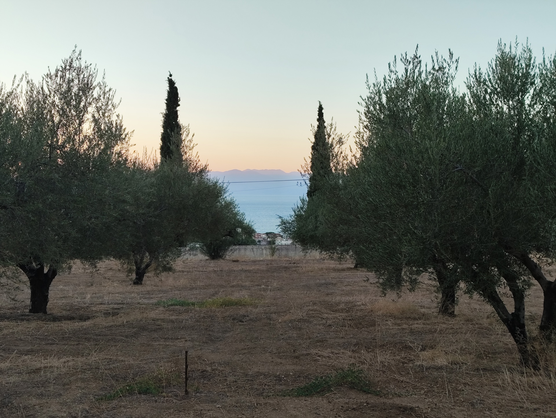 Gallery image 23