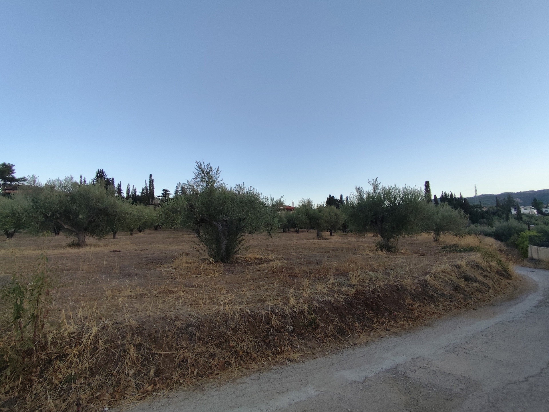 Gallery image 12