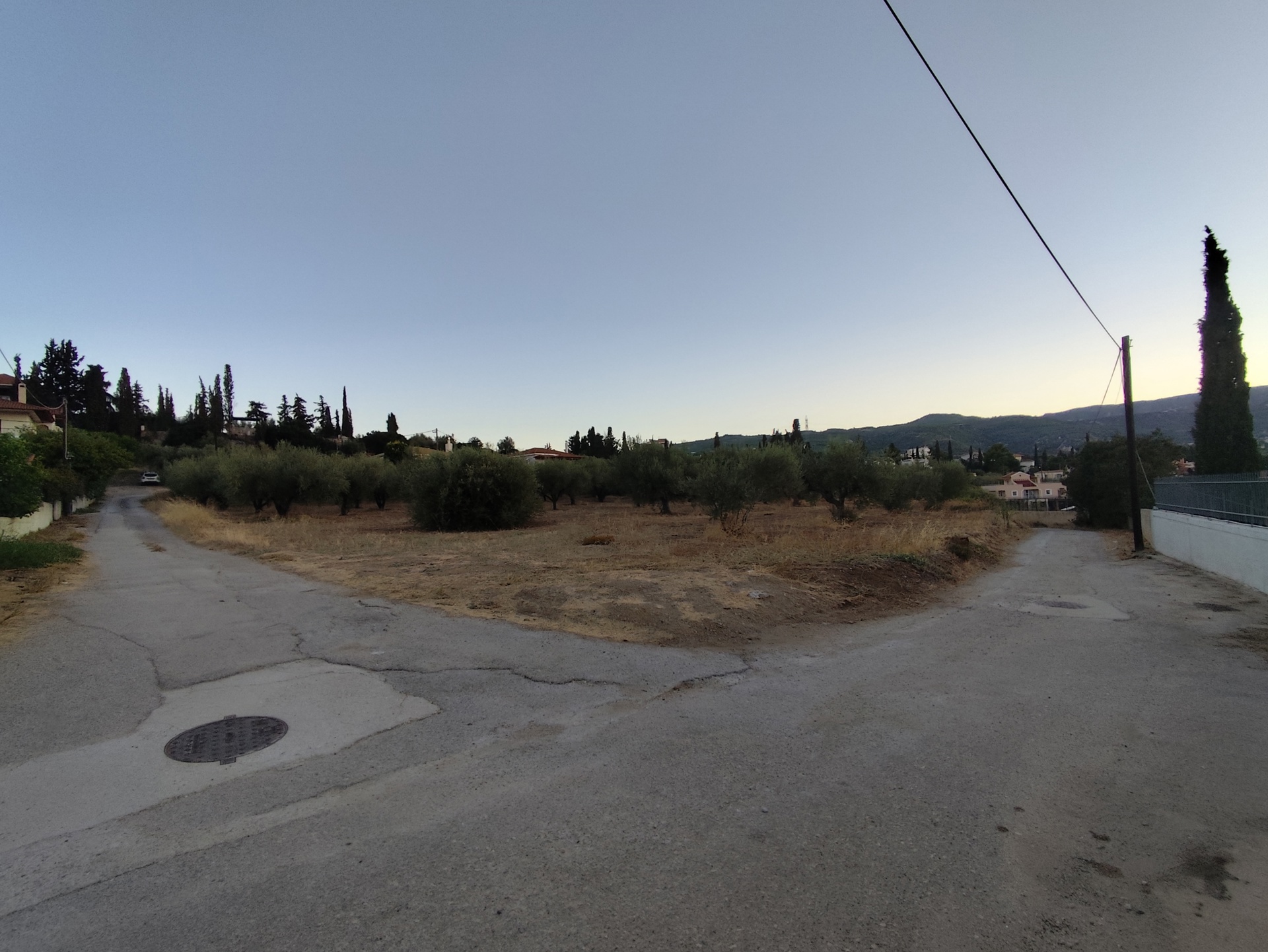 Gallery image 13
