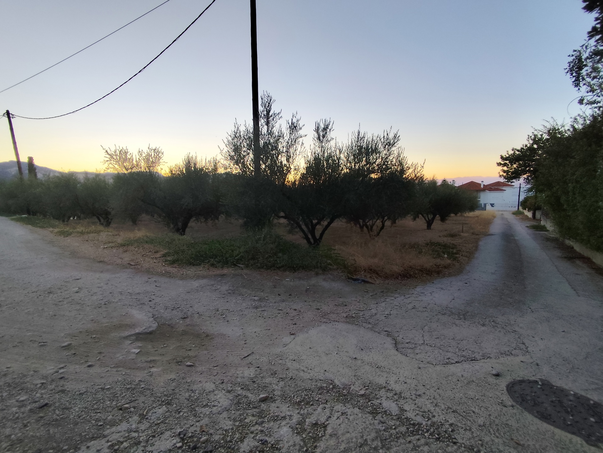 Gallery image 15