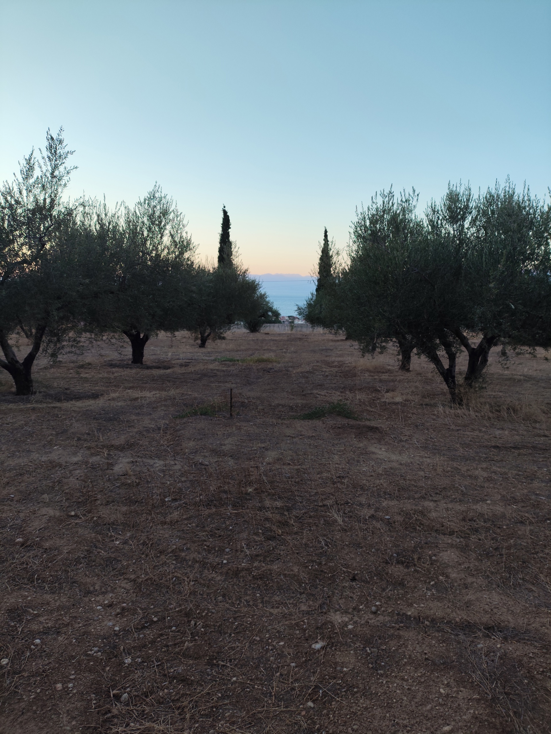 Gallery image 22