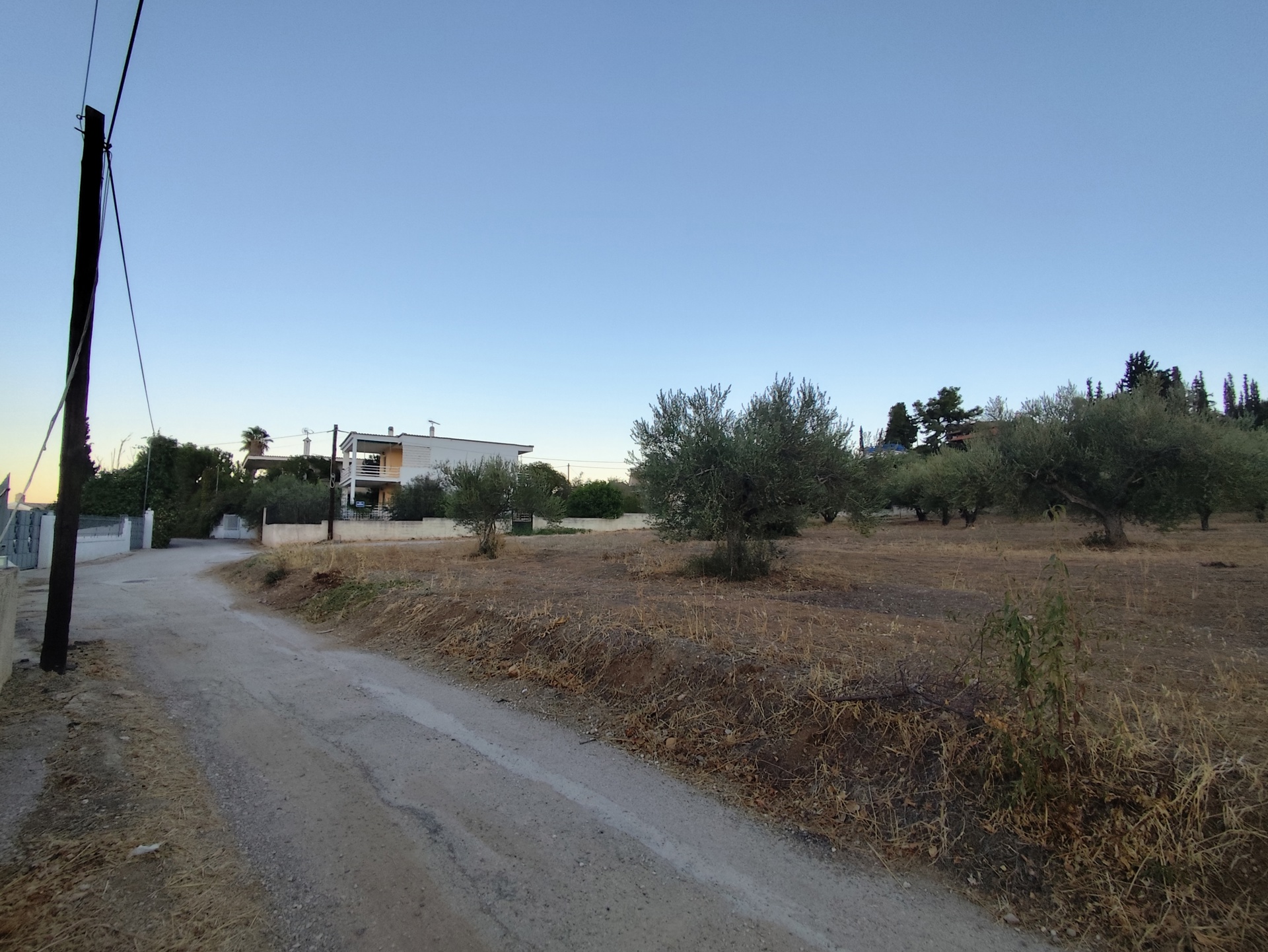 Gallery image 11