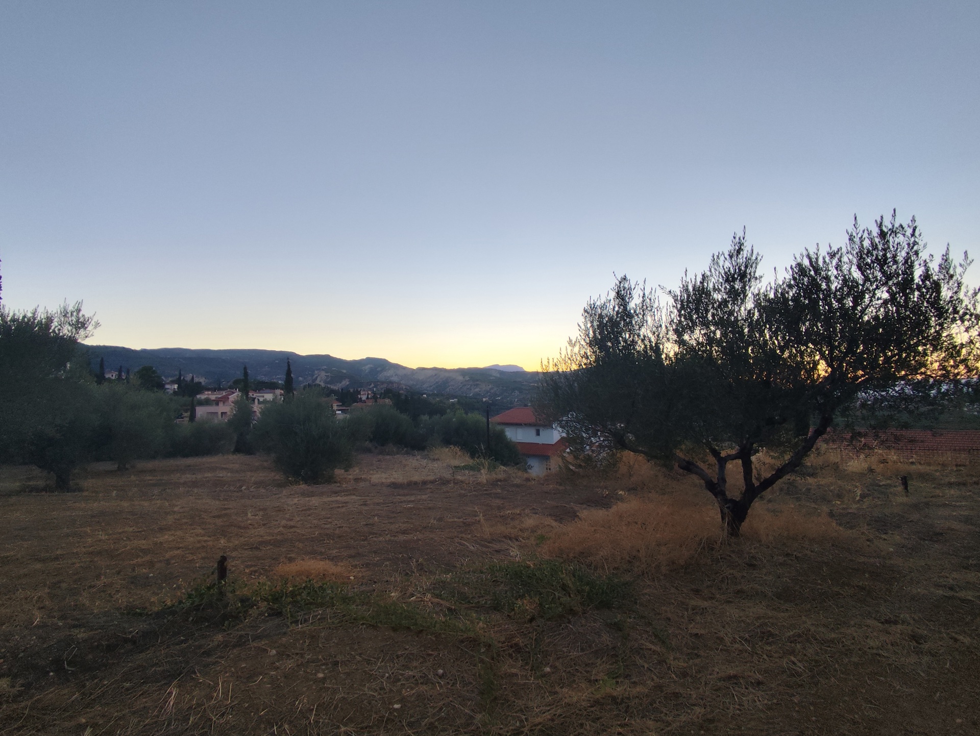 Gallery image 21
