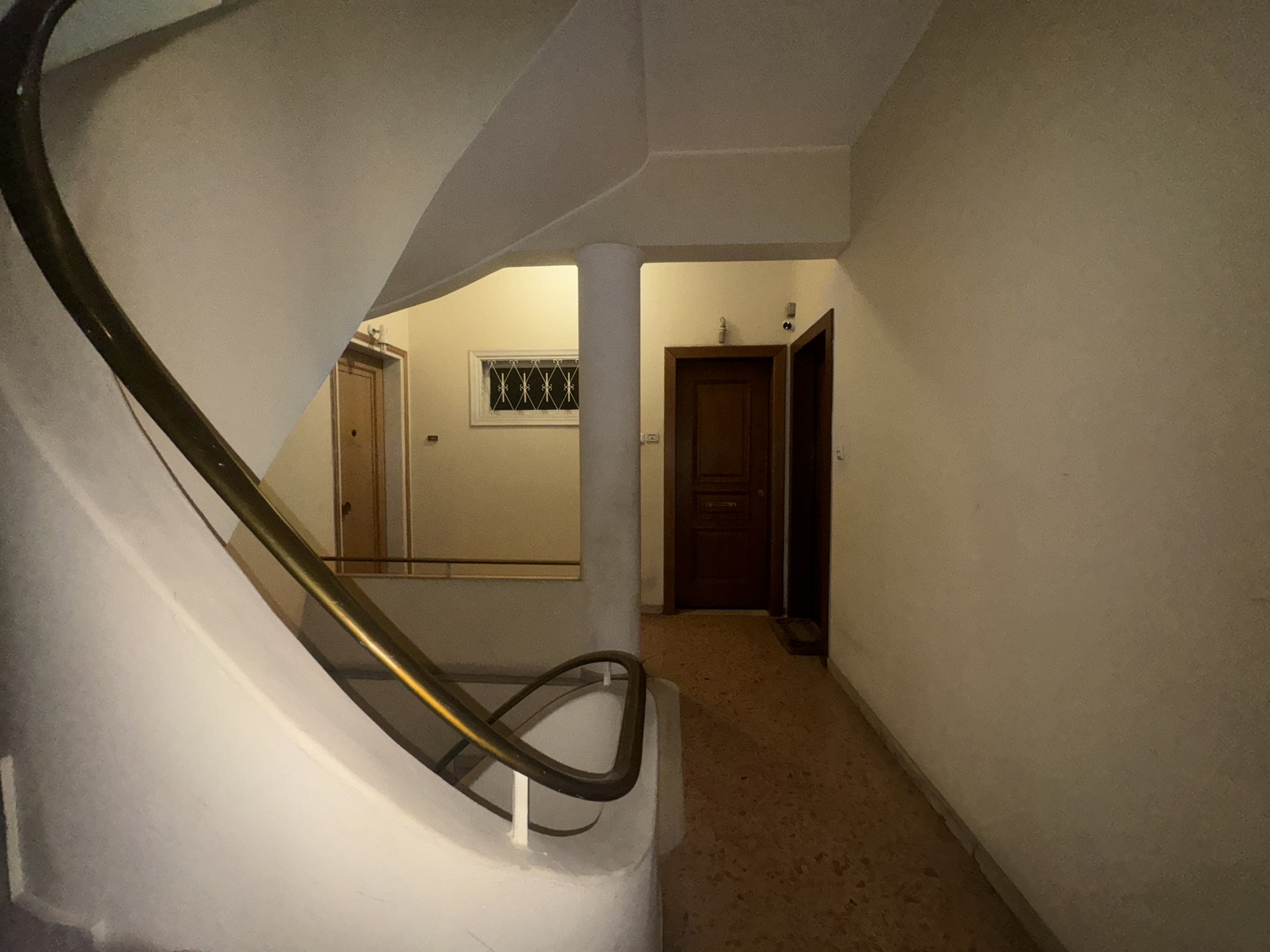 Gallery image 13