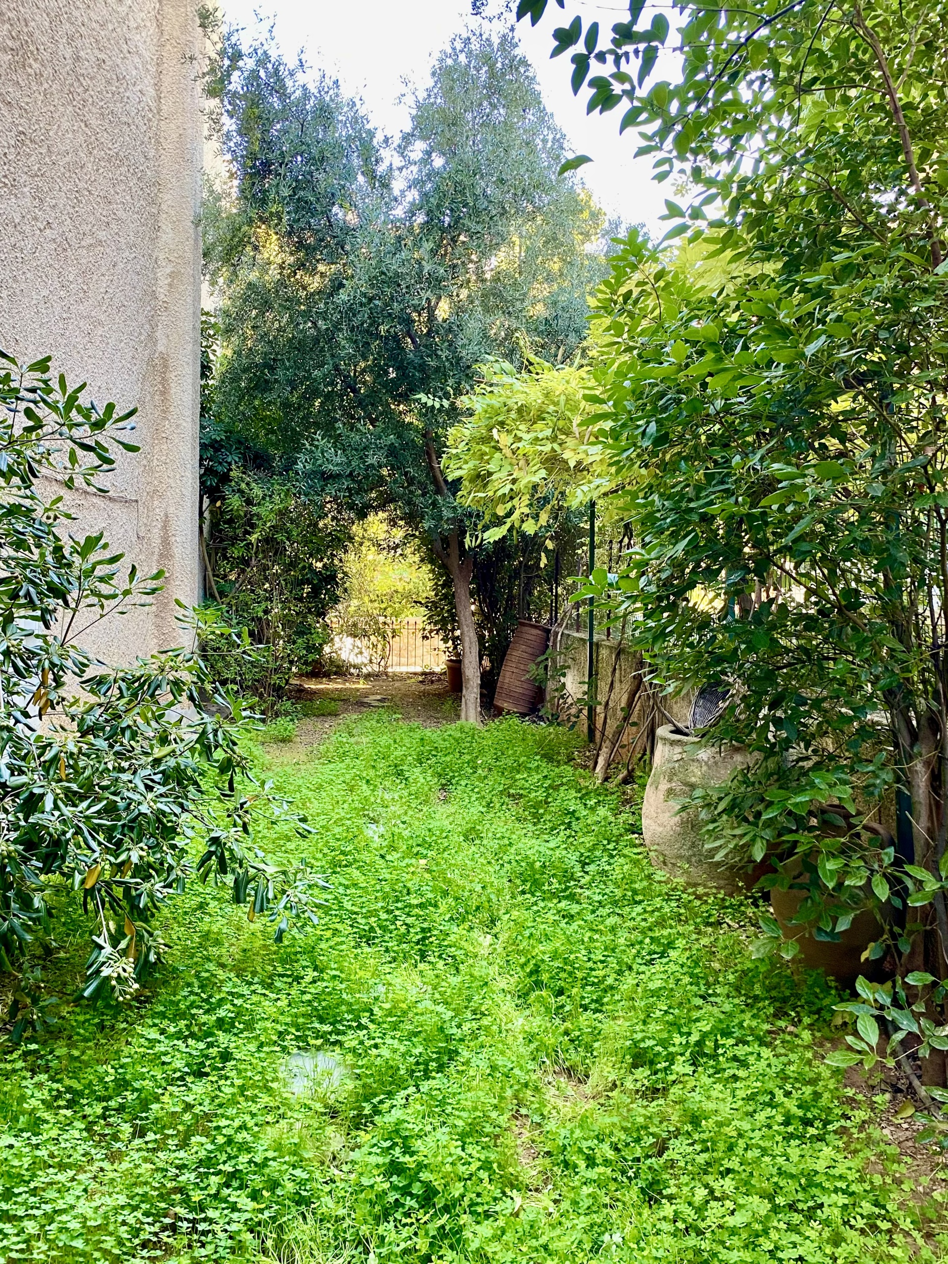 Gallery image 18