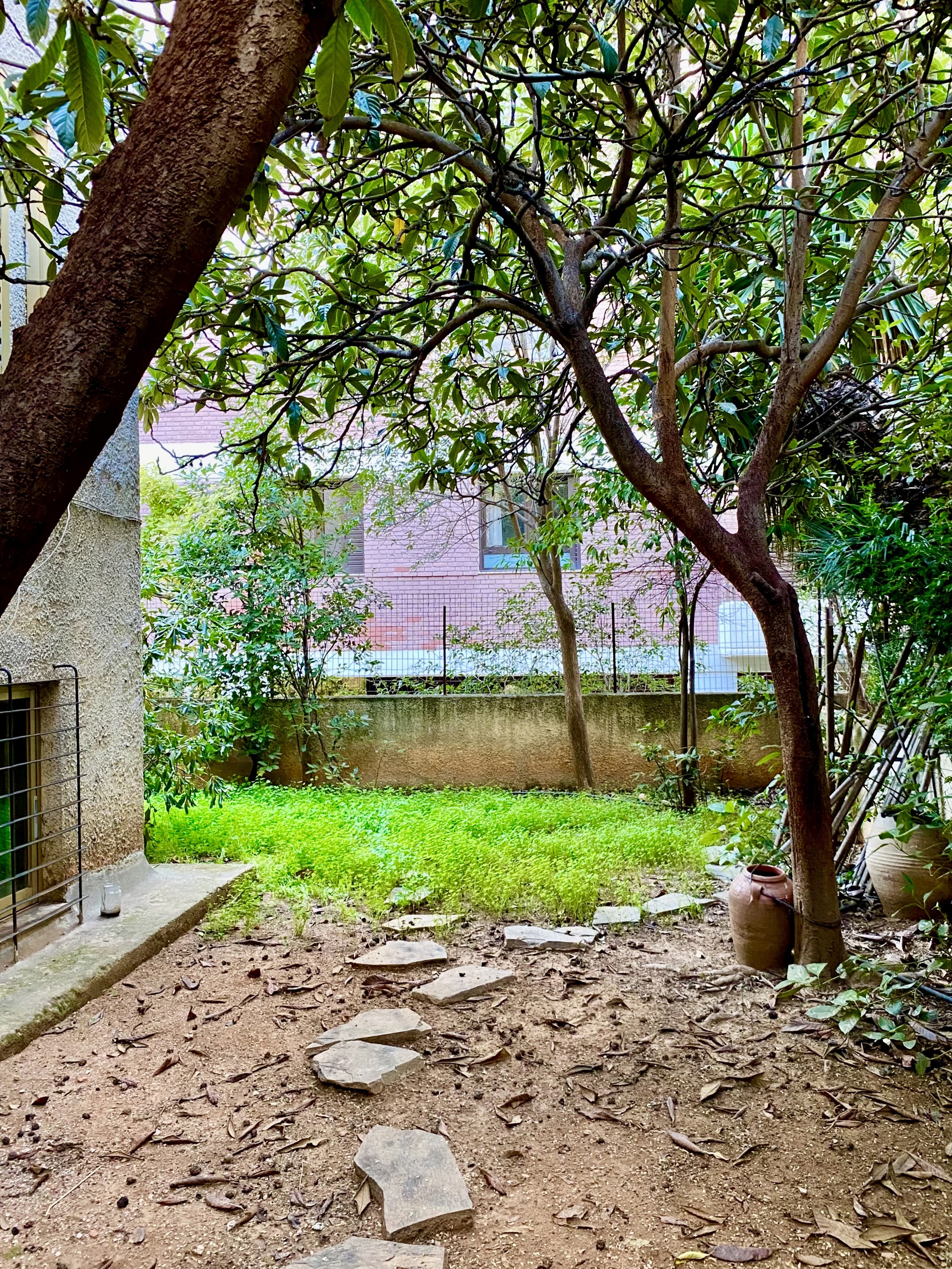 Gallery image 19