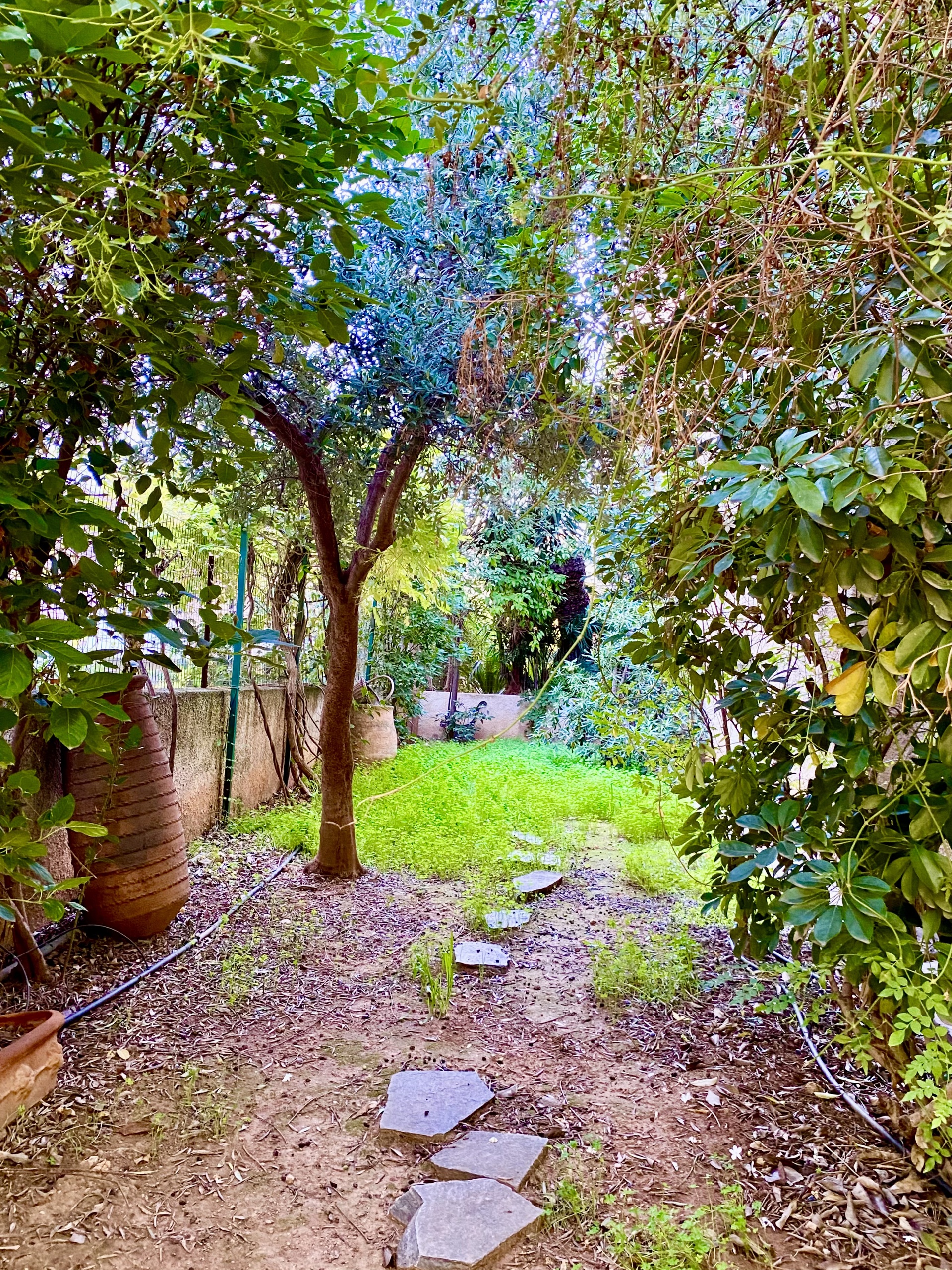 Gallery image 17