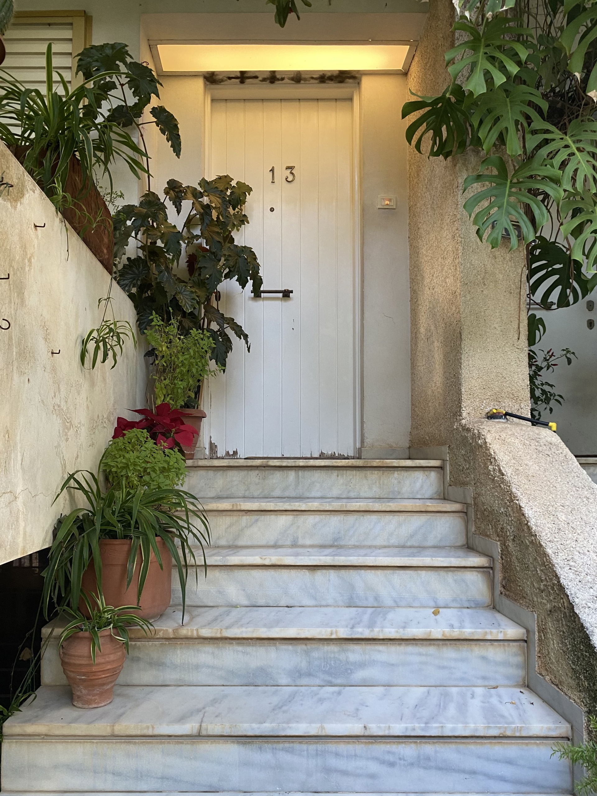 Gallery image 21