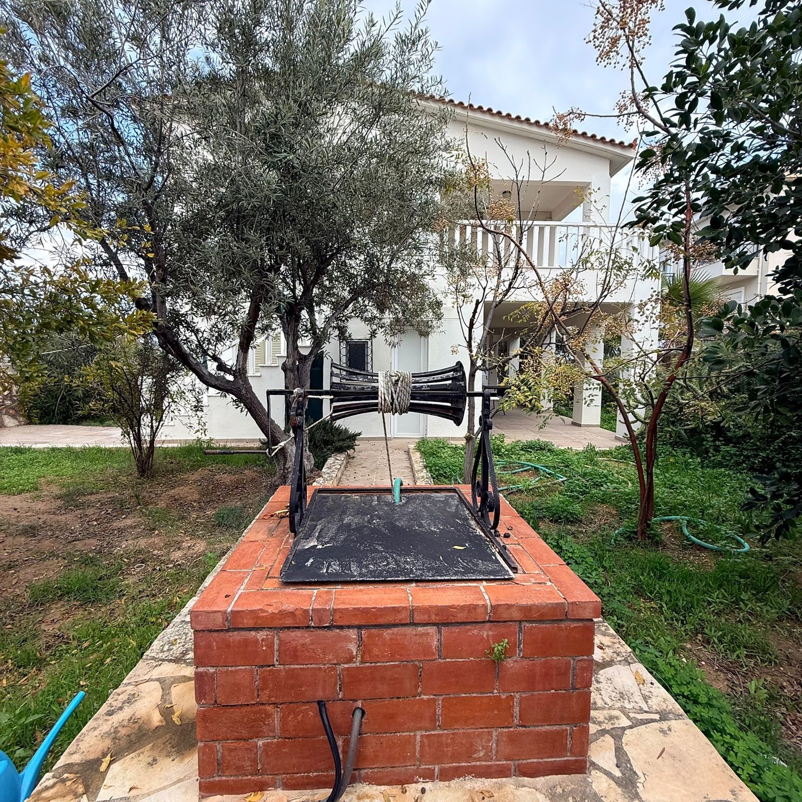 Gallery image 13