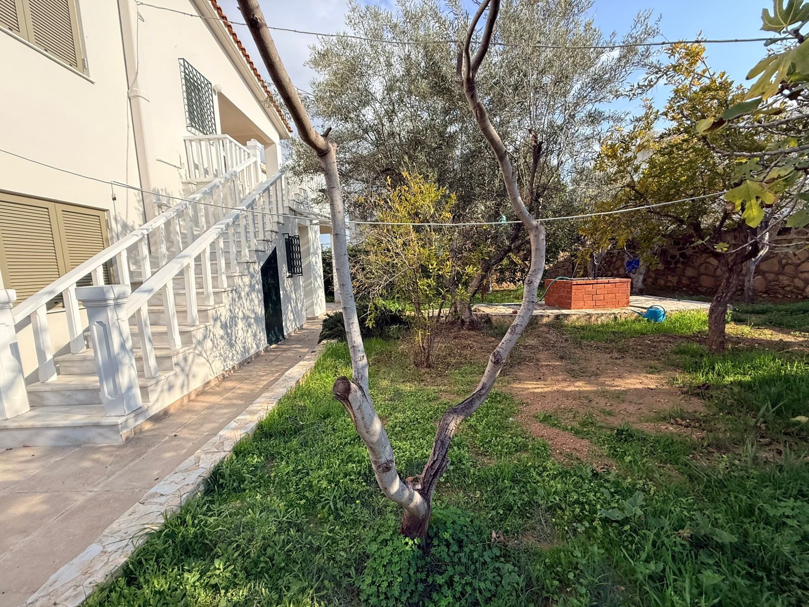 Gallery image 18