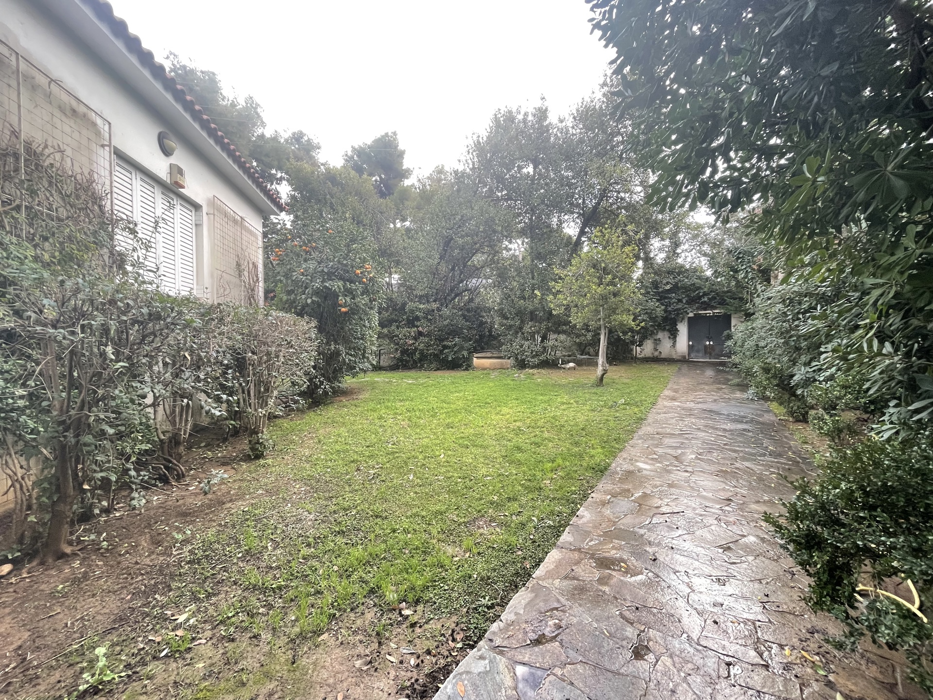 Gallery image 13
