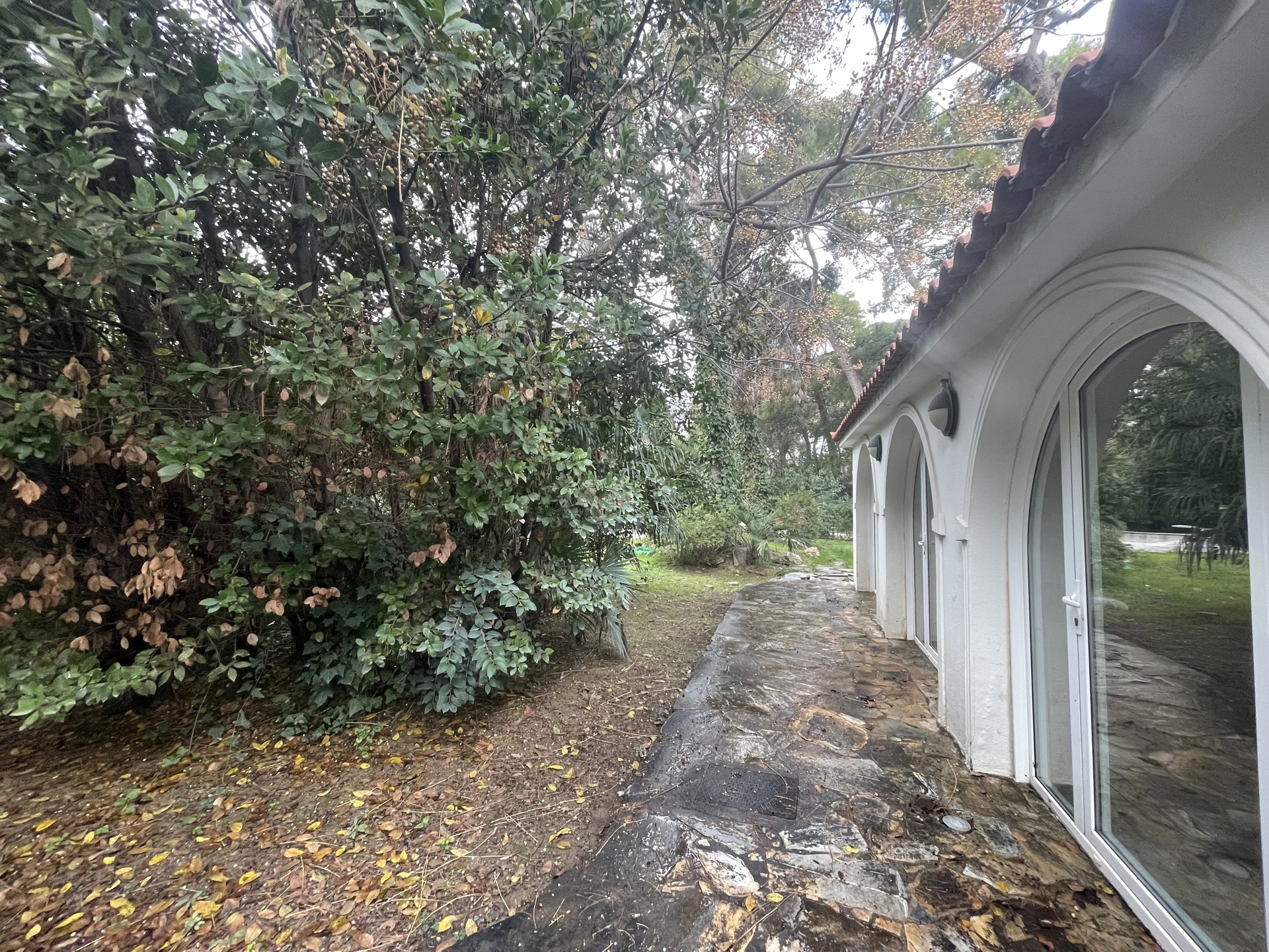 Gallery image 12