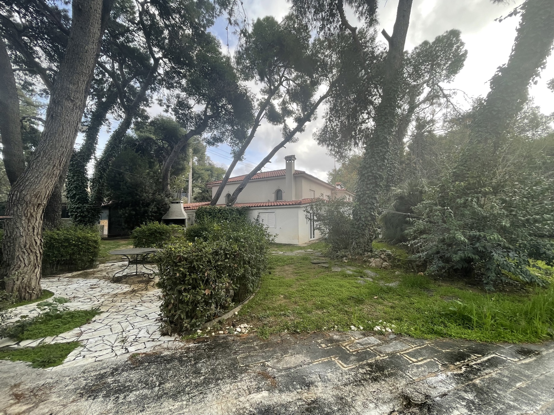 Gallery image 10