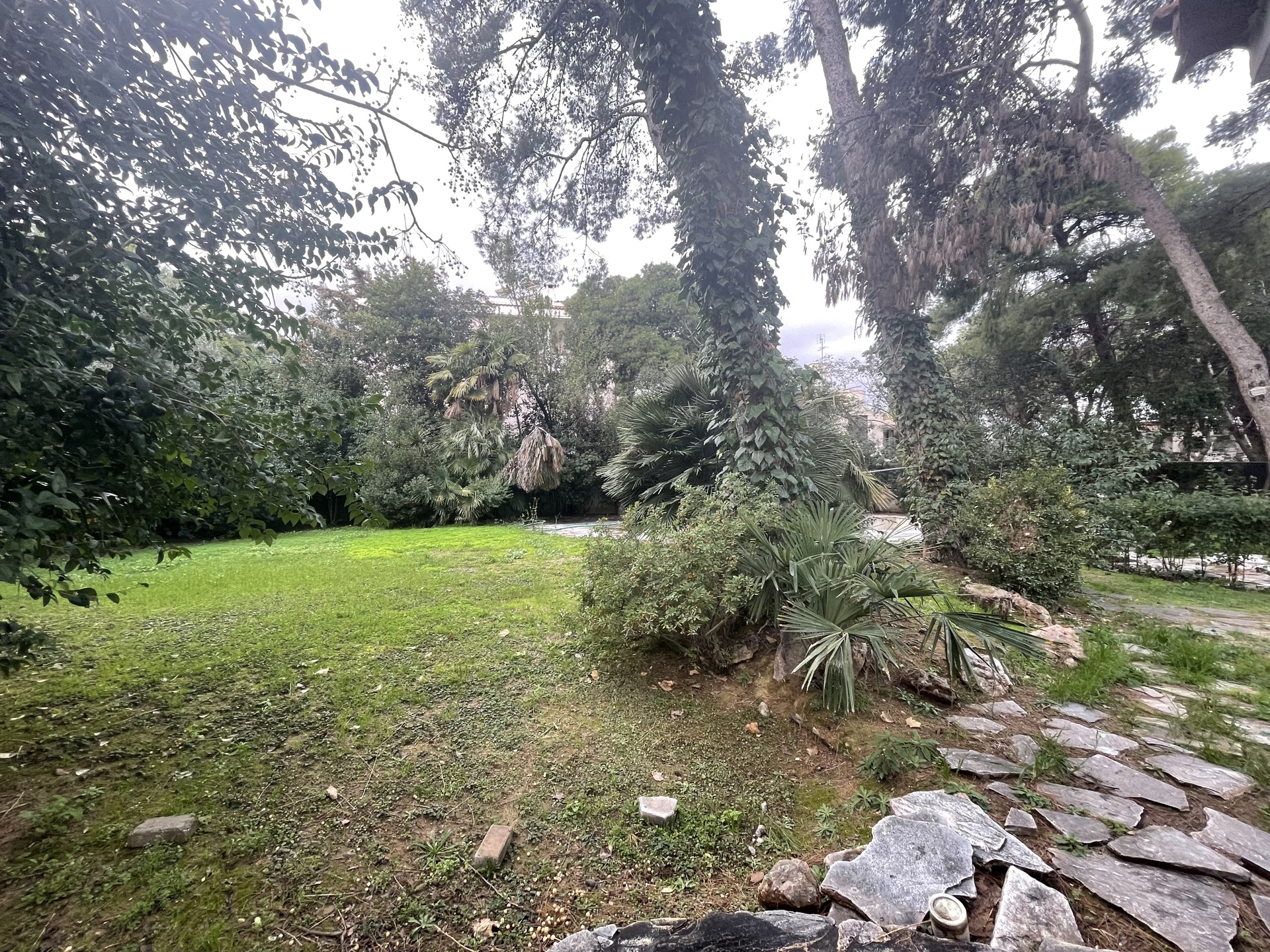 Gallery image 11