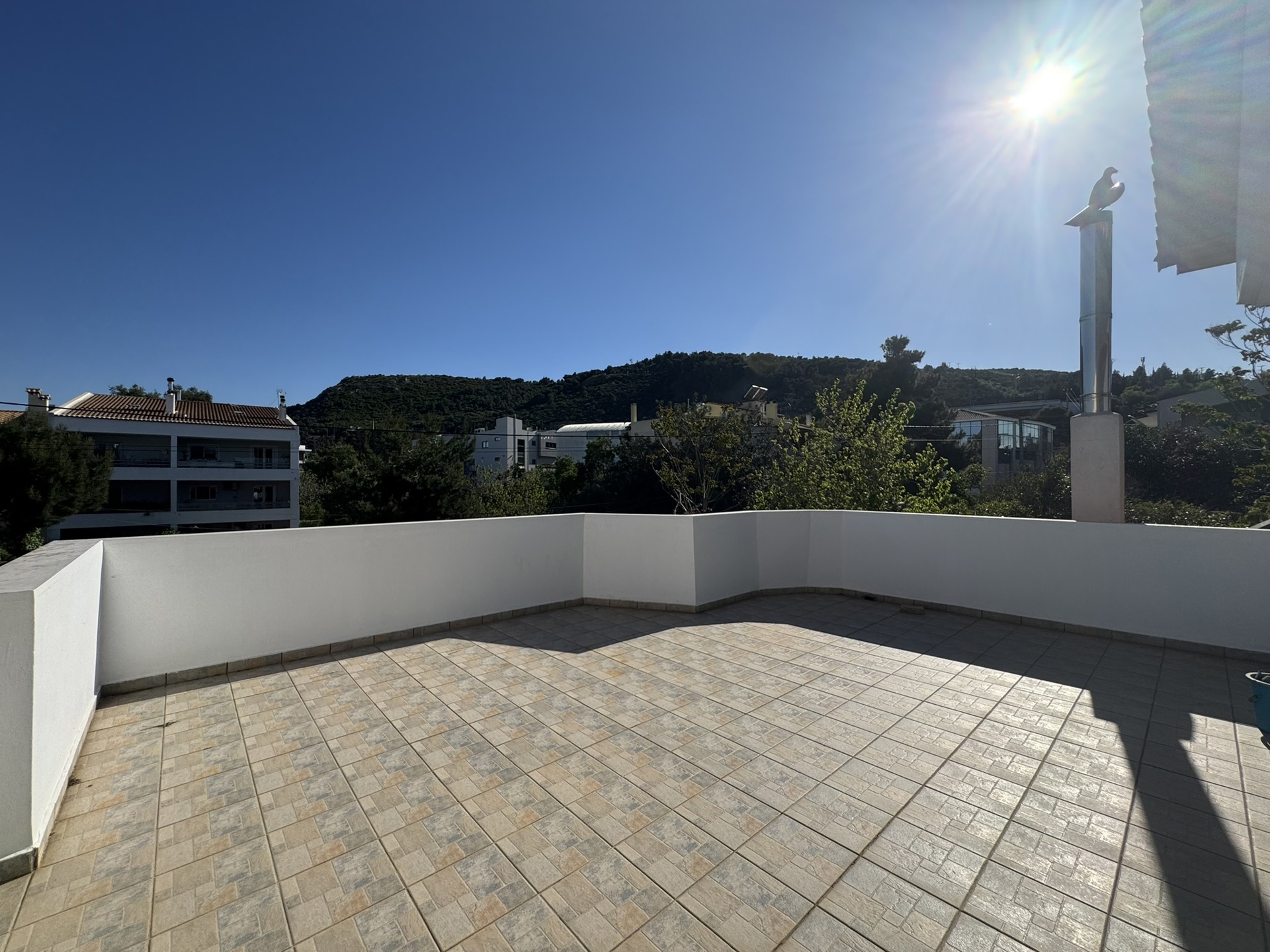 Gallery image 12