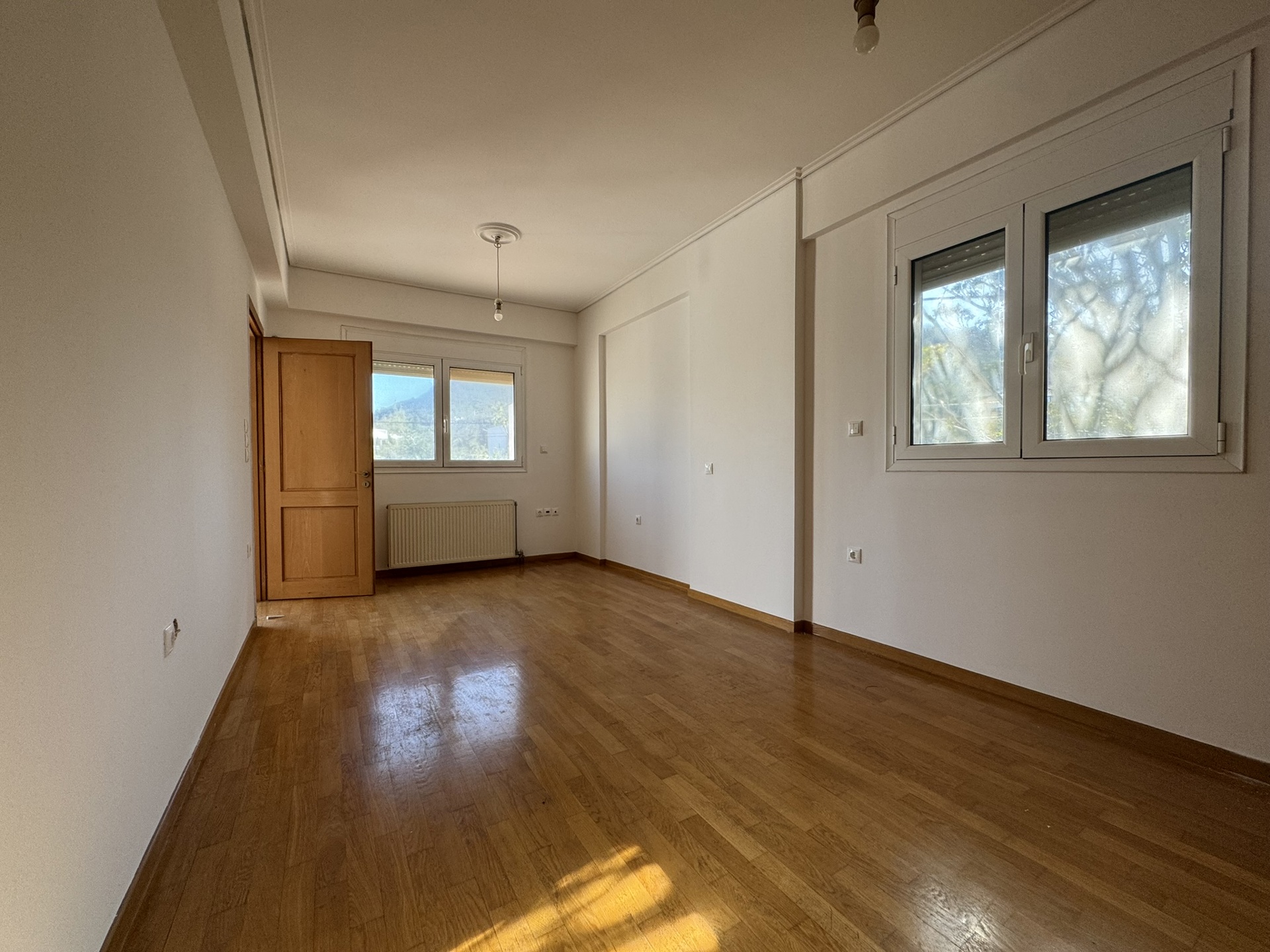 Gallery image 16