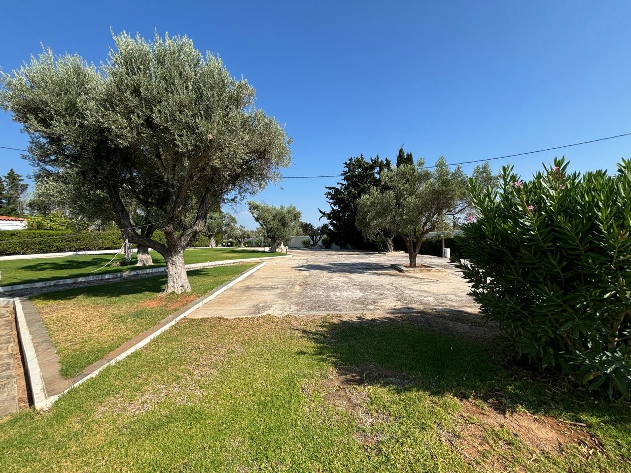 Gallery image 22